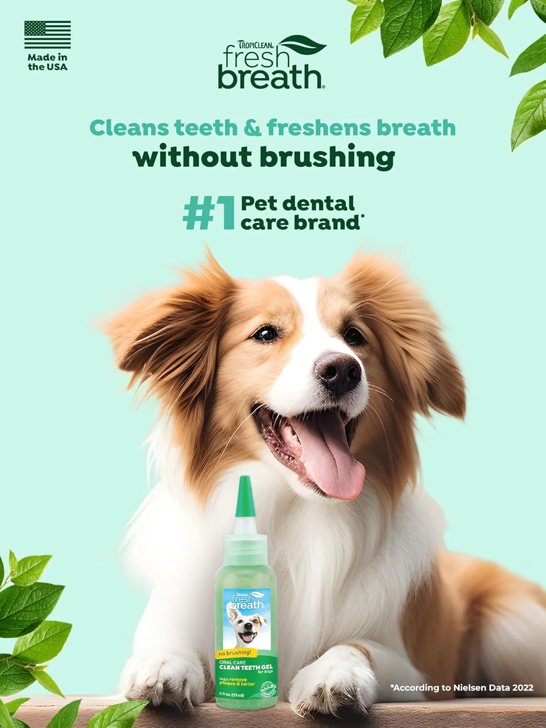 TropiClean Clean Teeth Gel for Dogs | Dog Dental Care | Dog Toothpaste | Breath Freshener | - Image 2