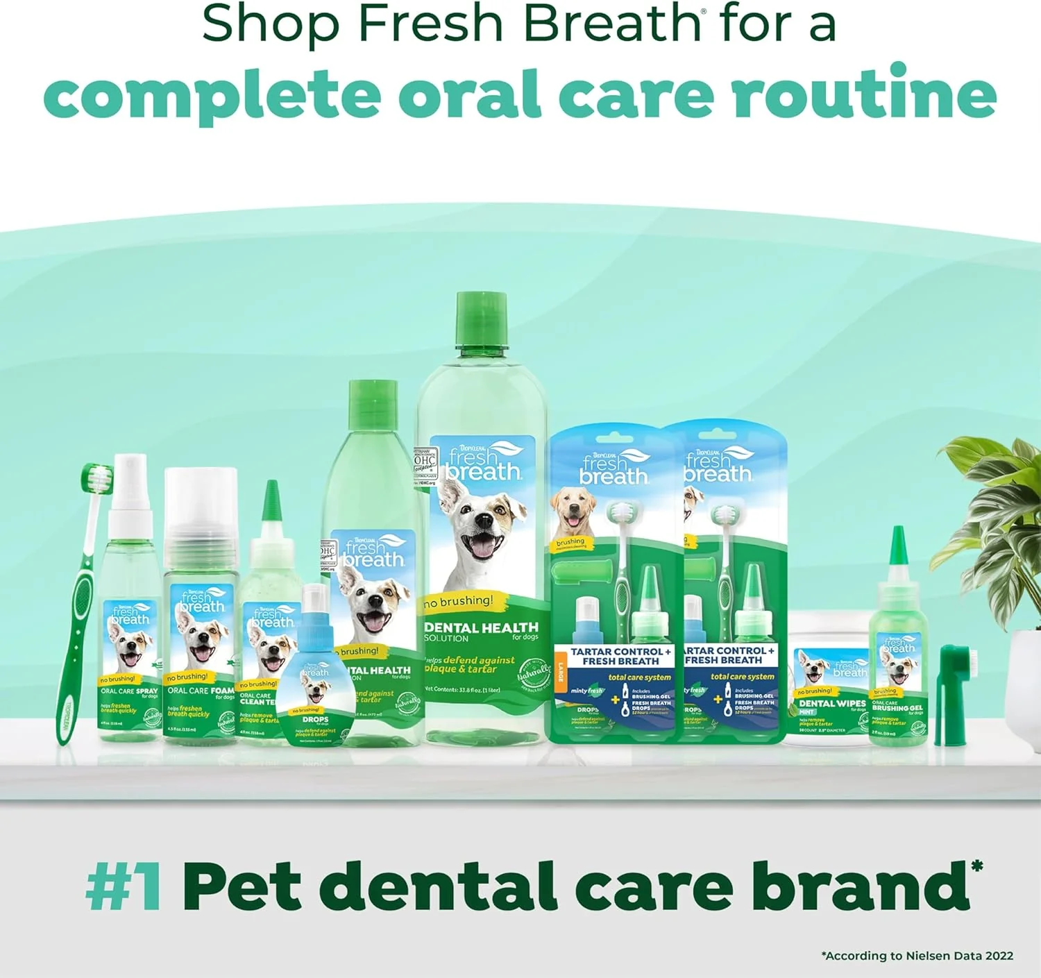 TropiClean Fresh Breath Cat Toothpaste for Teeth Cleaning, Breath Freshener, Easy to Use Plaque & Tartar Remover Gel - Image 6