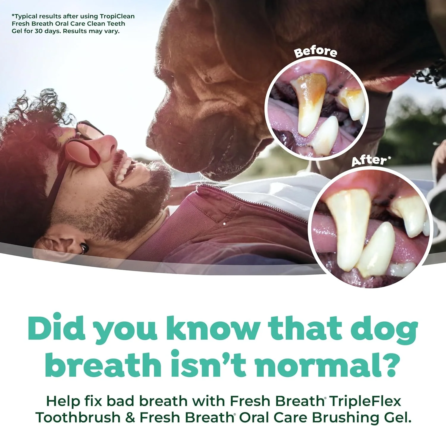 TropiClean Fresh Breath TripleFlex Toothbrush for Large Dogs | 360-Degree Toothbrush | - Image 5