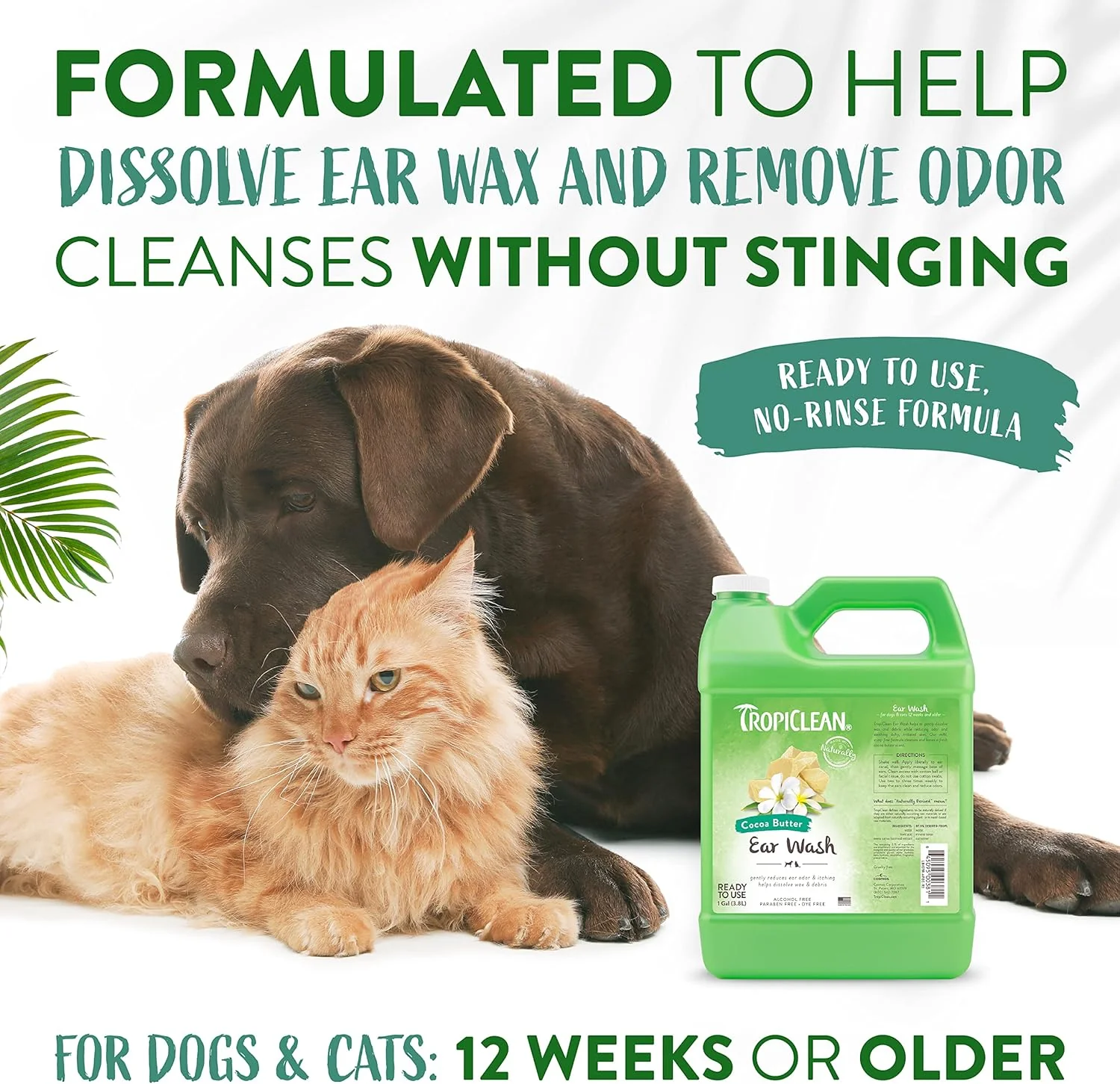 TropiClean Cocoa Butter Ear Wash for Dogs & Cats | Alcohol Free Dog Ear Cleaner Solution | Pet Ear Wash Derived from Natural Ingredients | - Image 5