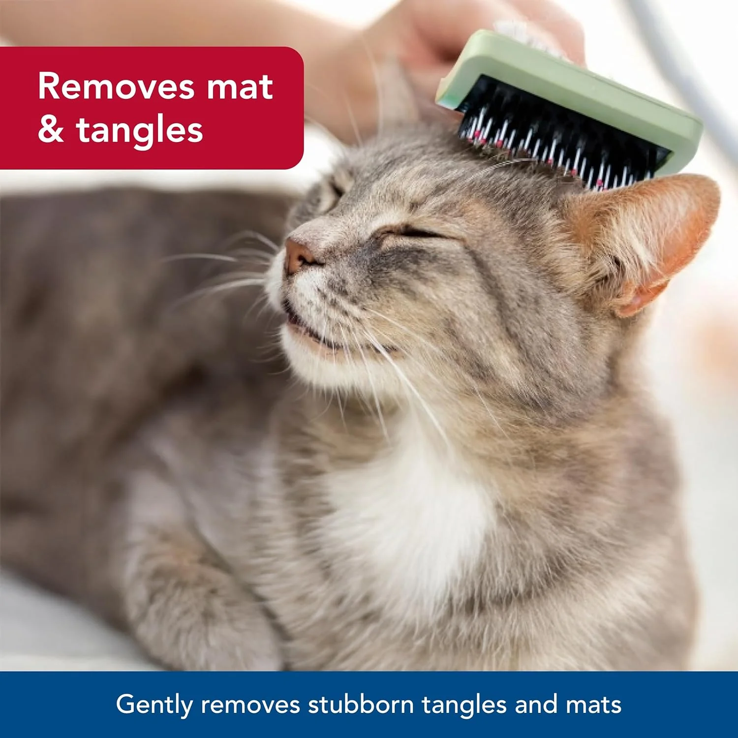 Coastal Pet - Safari - Complete Cat Brush, No Color - Image 4