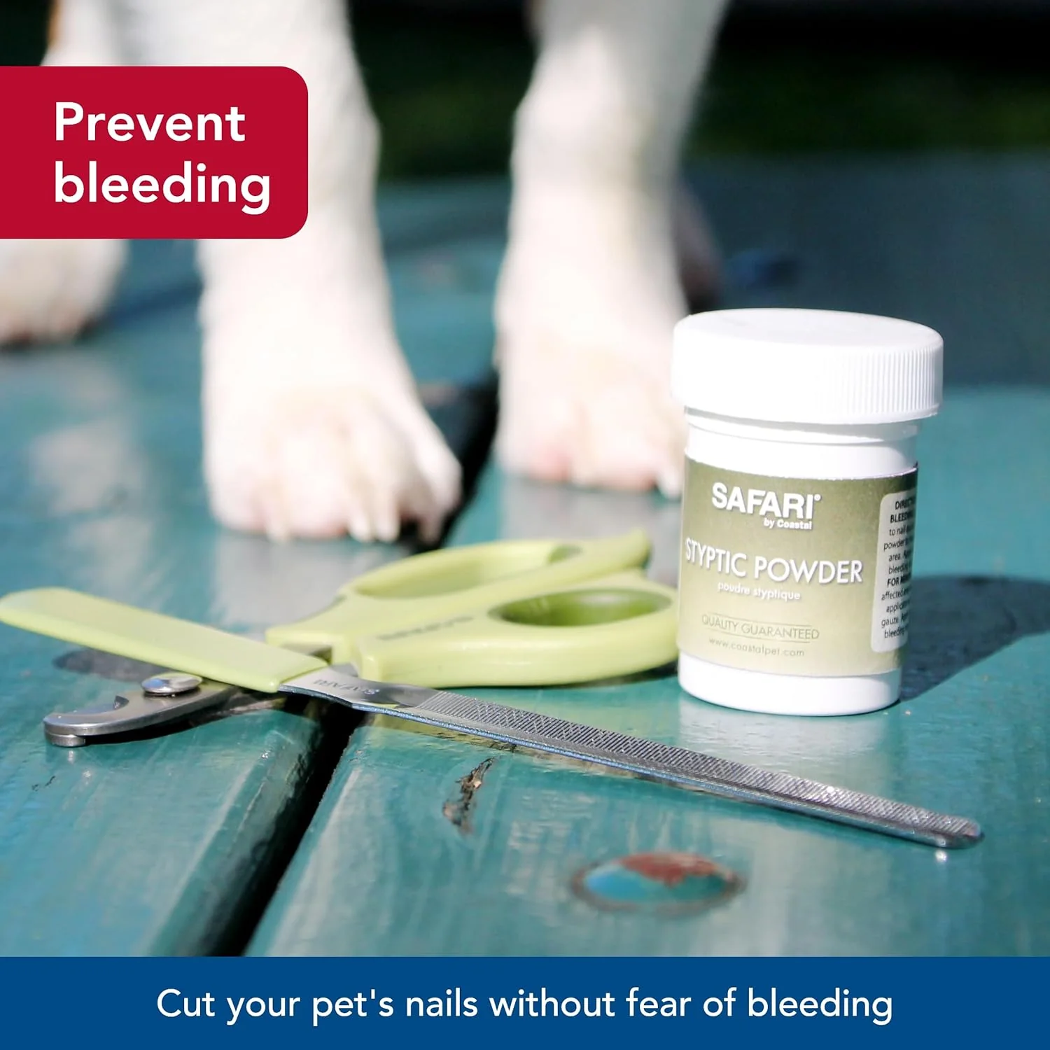 Coastal Pet Safari Pet Styptic Powder - Blood Clotting Powder for Pet and Dog First Aid Kit and Grooming - Image 4