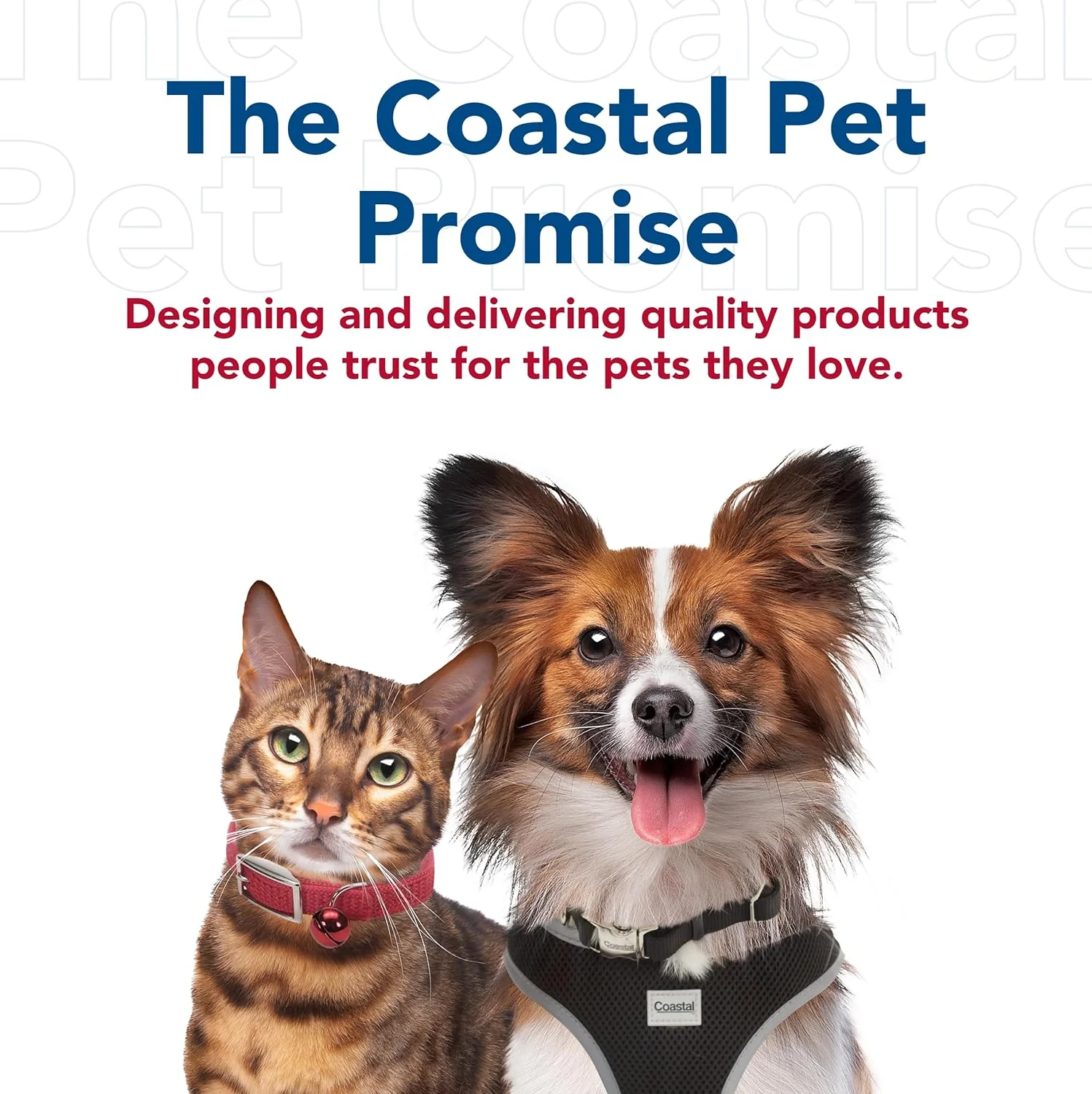 Coastal Pet Safari Pet Styptic Powder - Blood Clotting Powder for Pet and Dog First Aid Kit and Grooming - Image 7