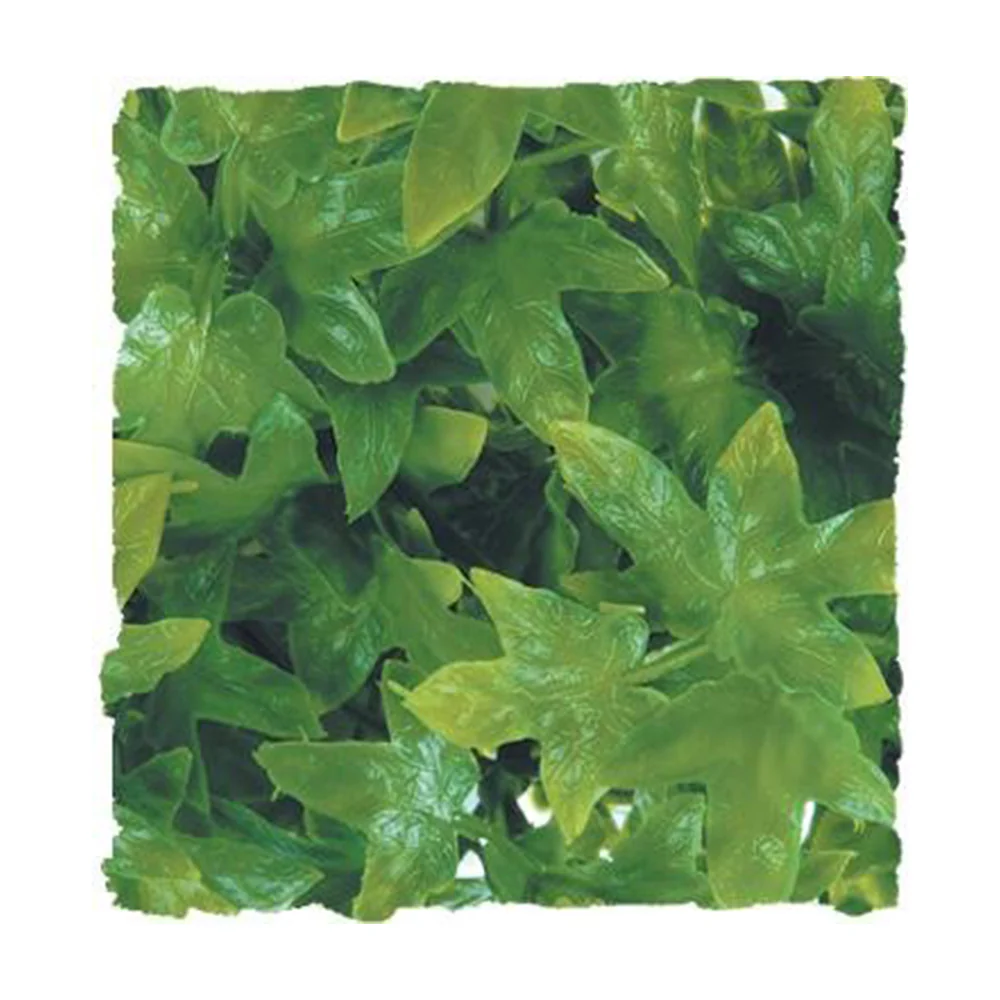 Zoo Med Laboratories Natural Bush™ Congo Ivy Plants for Reptiles - Image 2