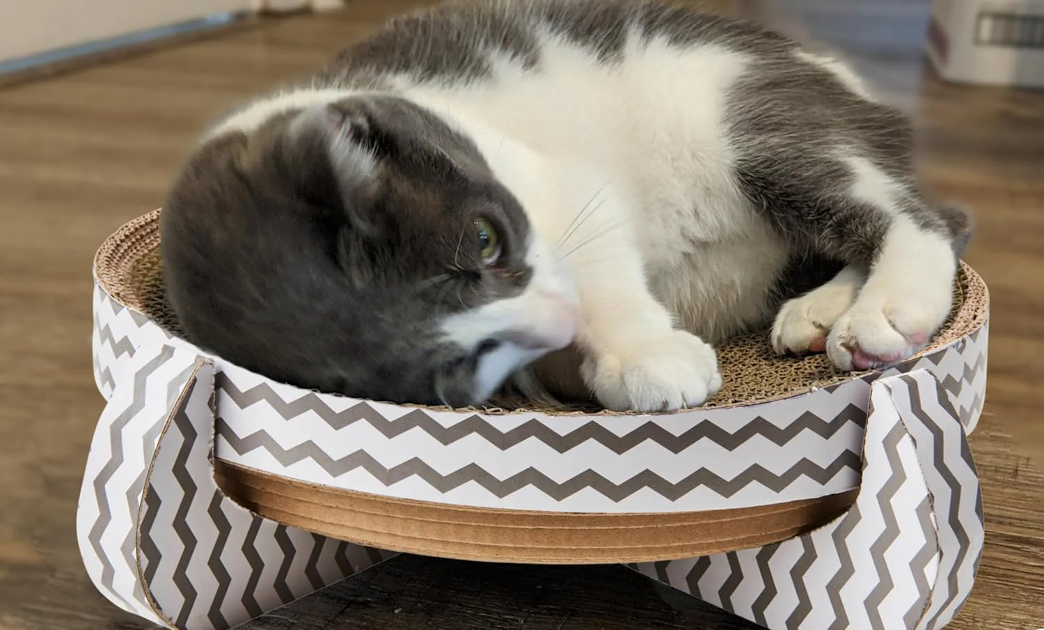 Corrugated Cardboard Cat Scratcher / 14" Nest/with Catnip and Silver Vine - Image 3