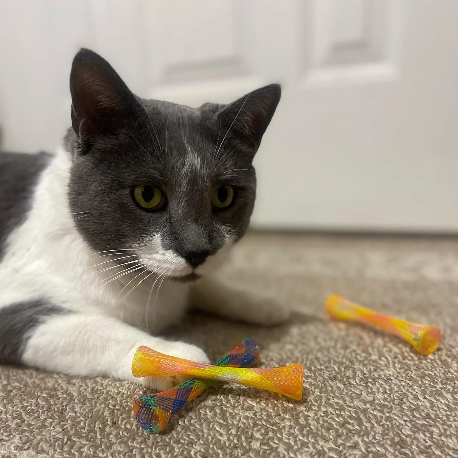 Spot® Kitty Fun Tubes Cat Toys Assorted Color 3.25 Inch X 3 Count - Image 3
