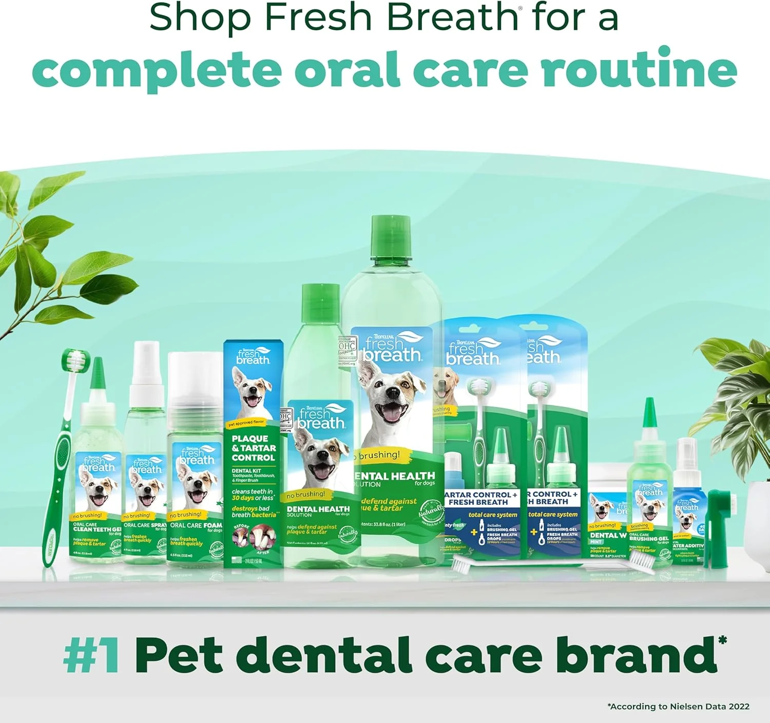 TropiClean Fresh Breath Water Additive Concentrate for Dogs | Breath Freshener and Teeth Cleaning Solution | No Brushing Required - Image 6