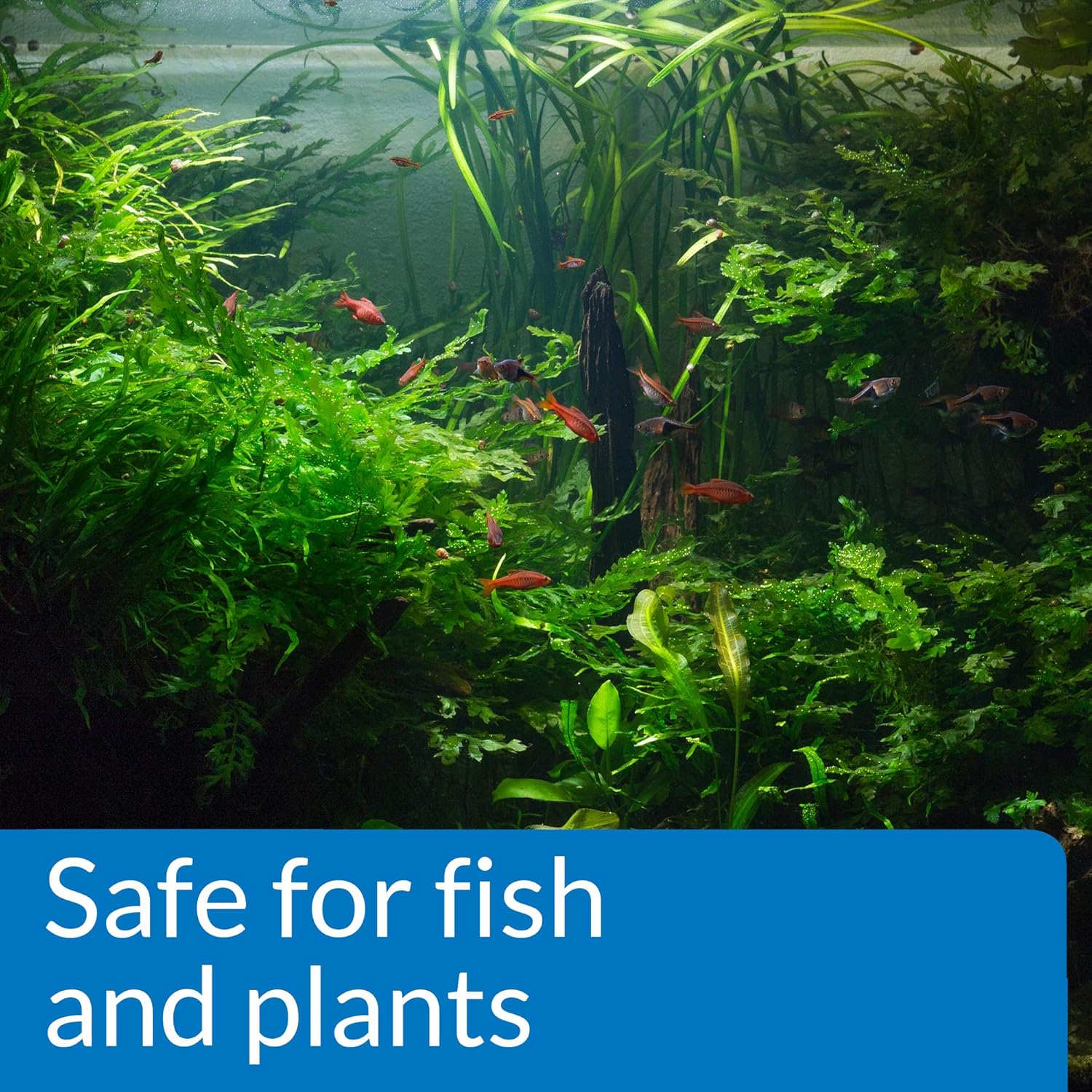 API pH UP Freshwater Aquarium Water pH Raising Solution Bottle - Image 5