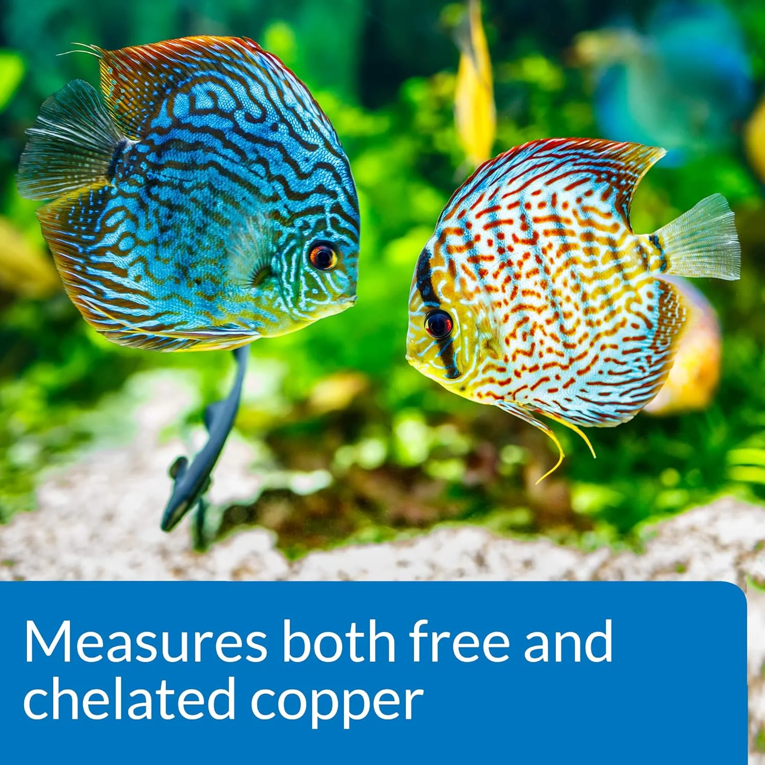 API Copper Test Kit - 90-Test Aquarium Water Analysis - Image 5
