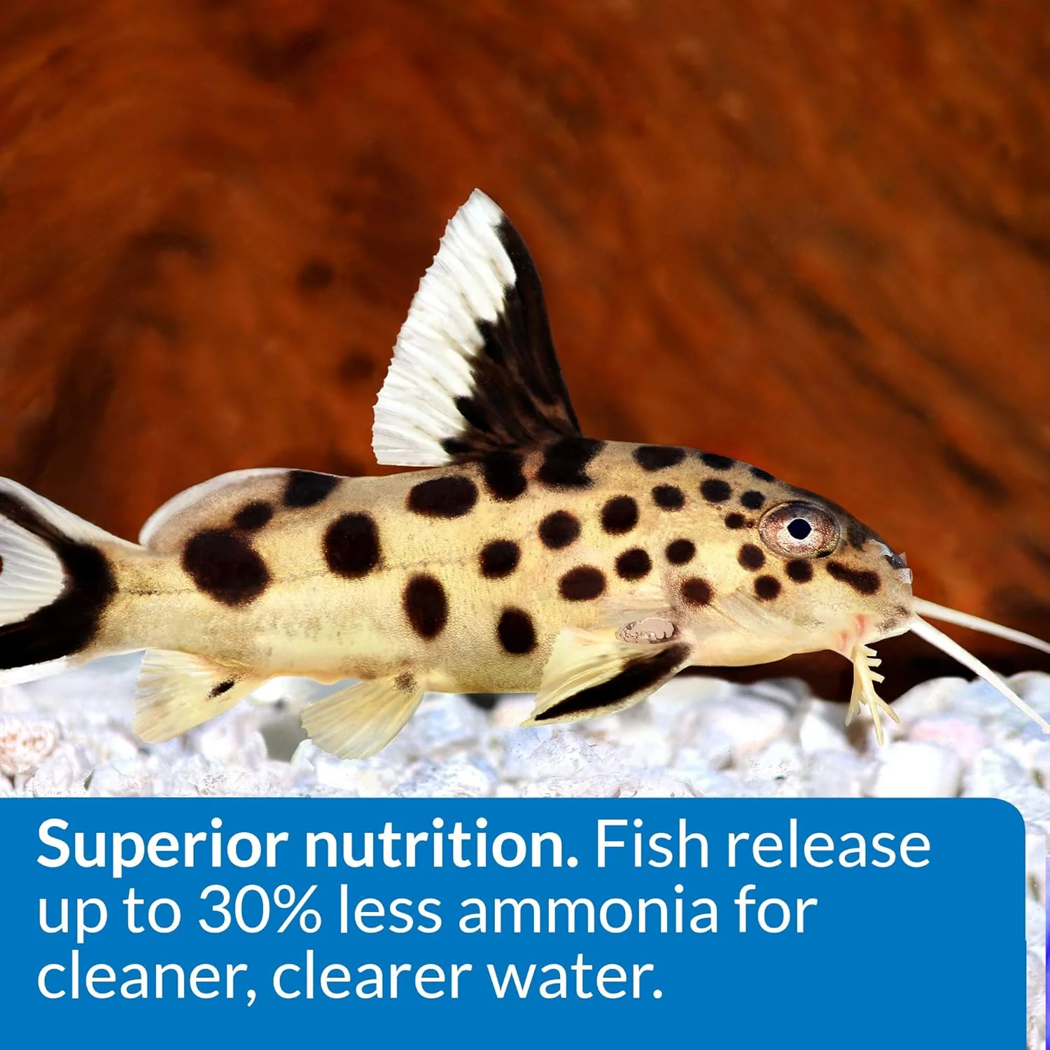 API BOTTOM FEEDER PELLETS WITH SQUID Fish Food - Image 4