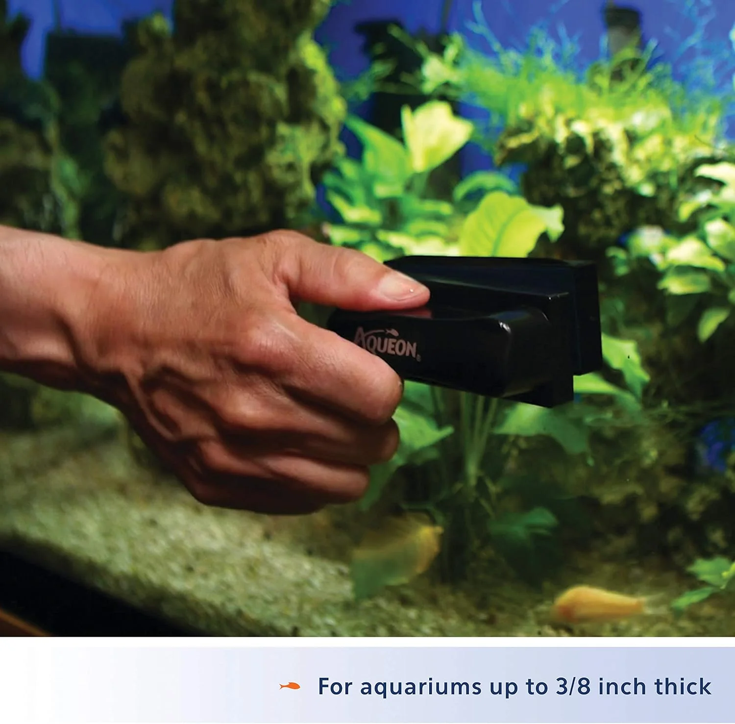Aqueon® Glass/Acrylic Algae Cleaning Magnet - Image 7