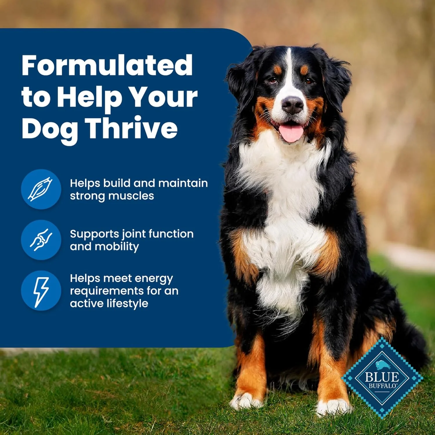 Blue Buffalo Life Protection Formula Adult Dry Dog Food, Helps Build and Maintain Strong Muscles, Made with Natural Ingredients, Chicken & Brown Rice Recipe - Image 6