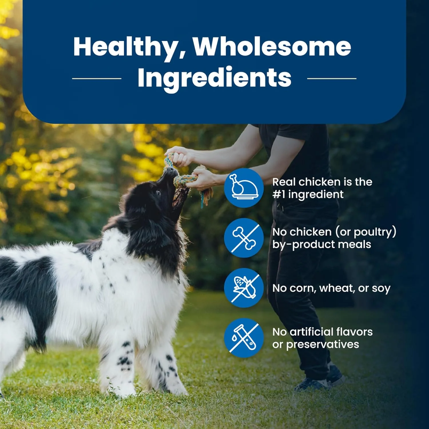 Blue Buffalo Life Protection Formula Adult Dry Dog Food, Helps Build and Maintain Strong Muscles, Made with Natural Ingredients, Chicken & Brown Rice Recipe - Image 8