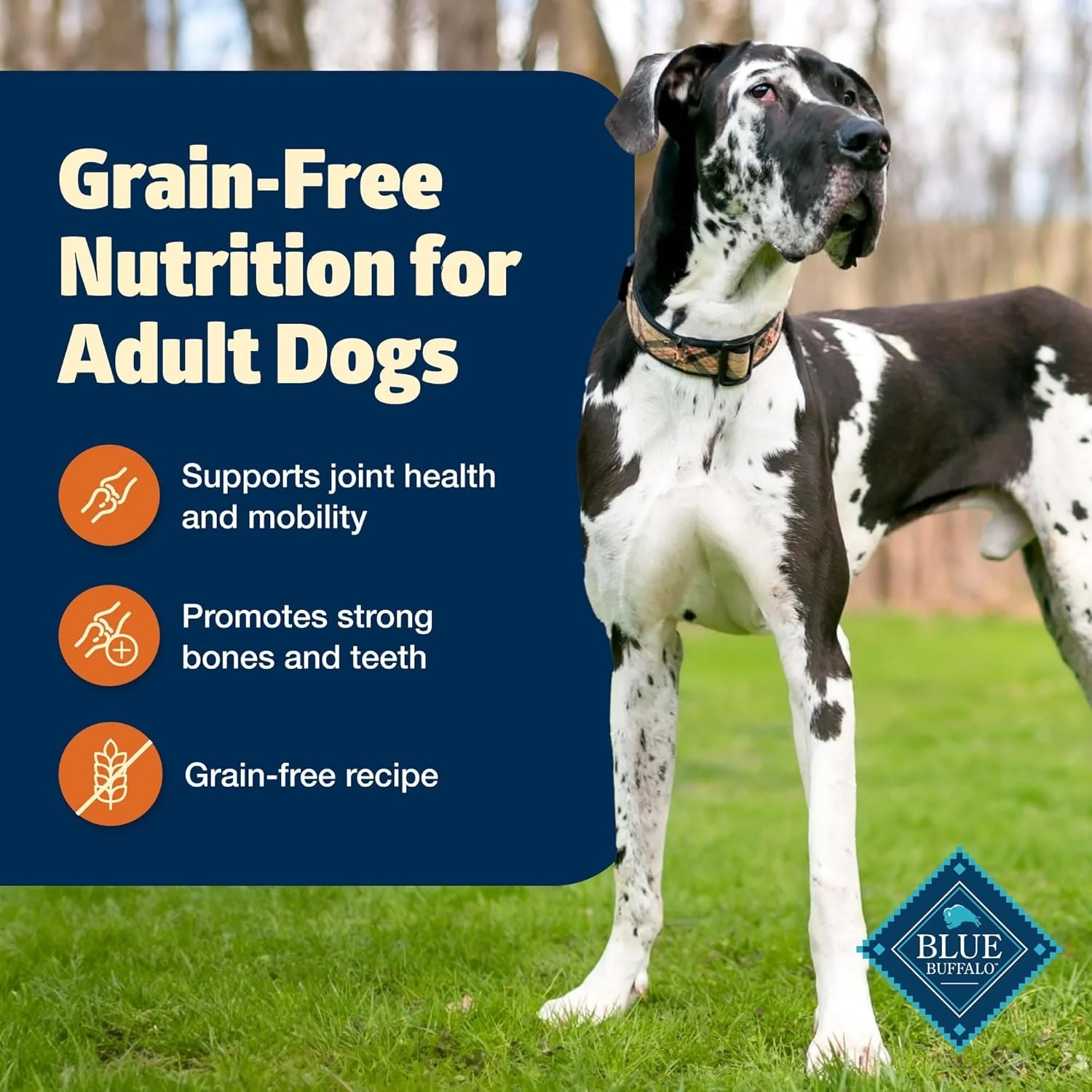 Blue Buffalo Freedom Grain-Free Large Breed Dry Dog Food, Supports Joint Health & Mobility, Made in the USA With Natural Ingredients, Chicken & Potatoes - Image 5