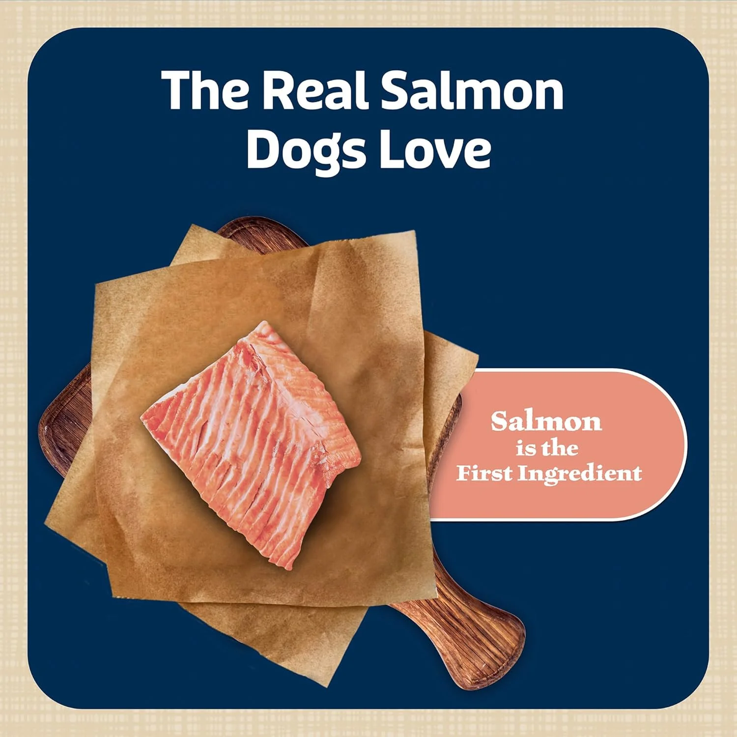 Blue Buffalo Bits Soft Dog Treats for Training, Made with Natural Ingredients & Enhanced with DHA, Salmon Recipe - Image 3