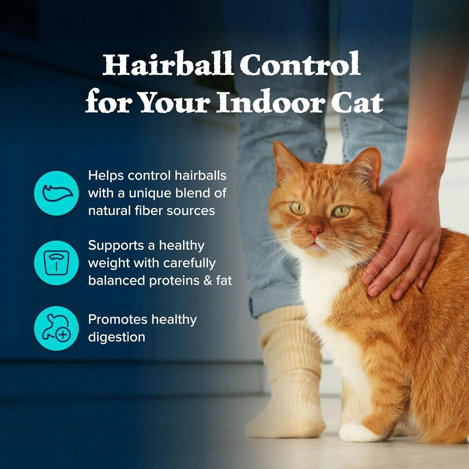 Blue Buffalo Wilderness Natural Hairball Care Dry Cat Food for Indoor Cats, High-Protein & Grain-Free Formula, Chicken - Image 6