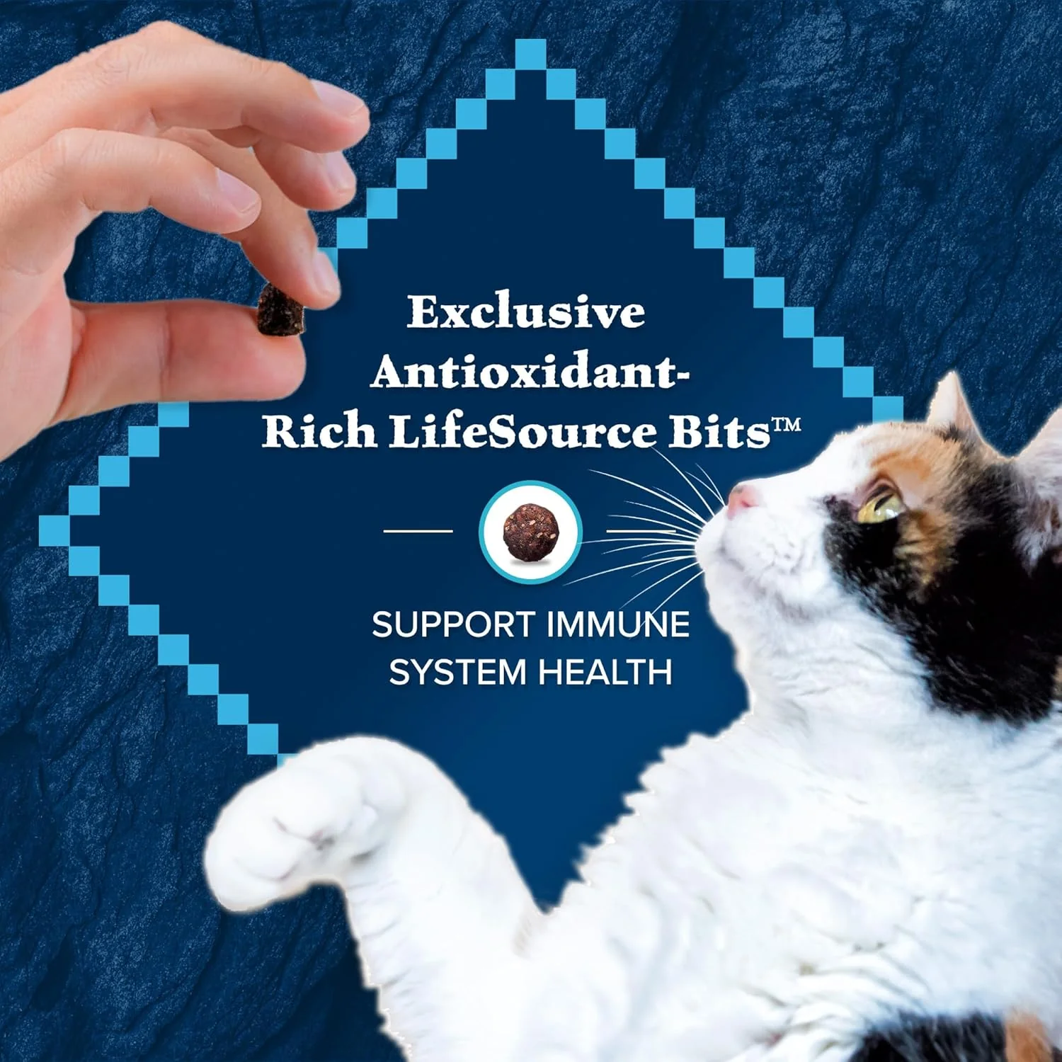 Blue Buffalo Wilderness Natural Hairball Care Dry Cat Food for Indoor Cats, High-Protein & Grain-Free Formula, Chicken - Image 8
