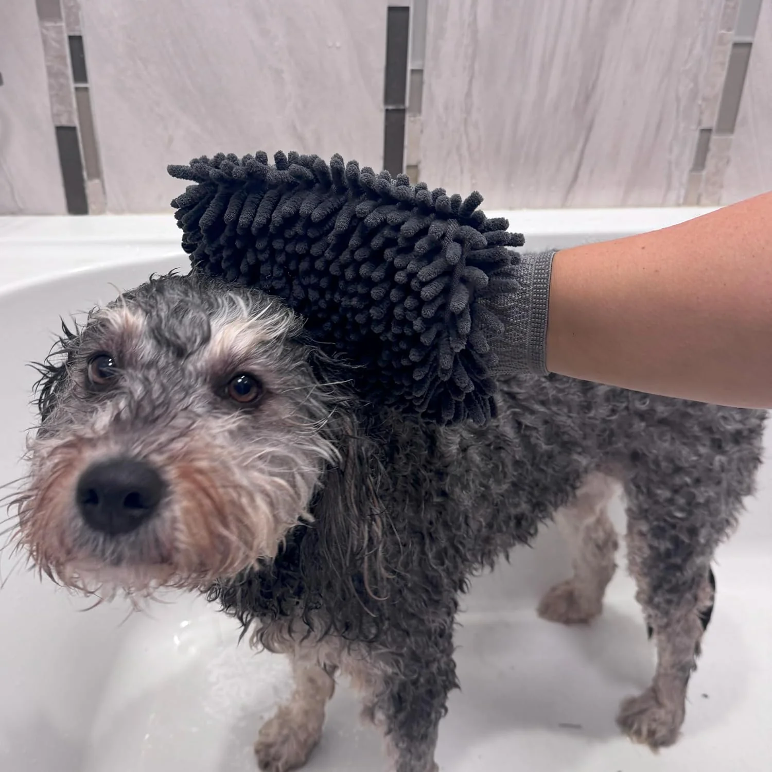 SPOT Clean Paws Chenille Microfiber Dog Towel Mitt - Super Absorbent, Quick-Drying, Washable, Double-Sided Glove for Wet Paws & Body, Durable, Odor-Free, Gently Massages & Dries, 9.5in x 7in - Image 5