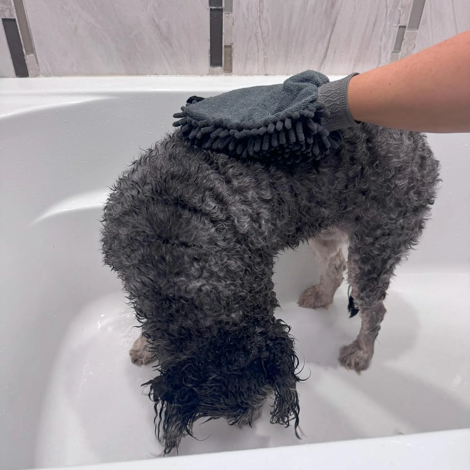 SPOT Clean Paws Chenille Microfiber Dog Towel Mitt - Super Absorbent, Quick-Drying, Washable, Double-Sided Glove for Wet Paws & Body, Durable, Odor-Free, Gently Massages & Dries, 9.5in x 7in - Image 6