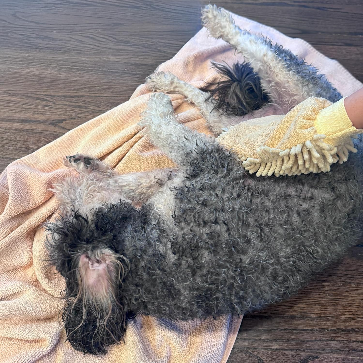 SPOT Clean Paws Chenille Microfiber Dog Towel Mitt - Super Absorbent, Quick-Drying, Washable, Double-Sided Glove for Wet Paws & Body, Durable, Odor-Free, Gently Massages & Dries, 9.5in x 7in - Image 7