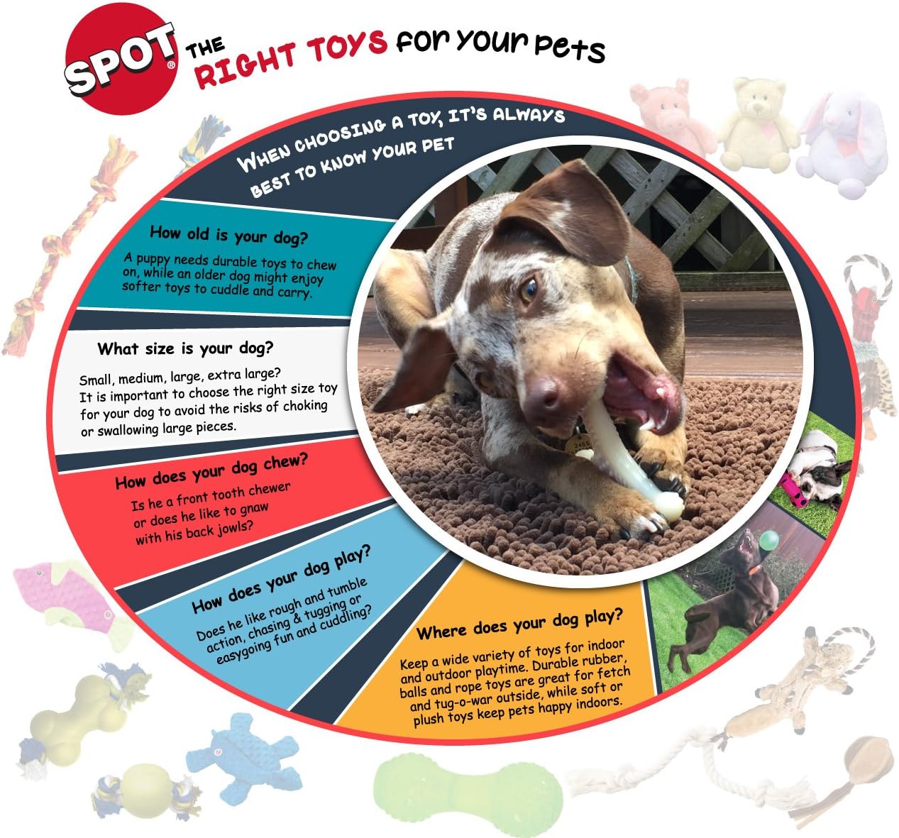 SPOT Play Strong S-Shaped Bone Dog Toy | Interactive Durable Rubber Dog Toy for Aggressive Chewers | Hollow Center Ideal for Treats | 12”, Red - Image 9