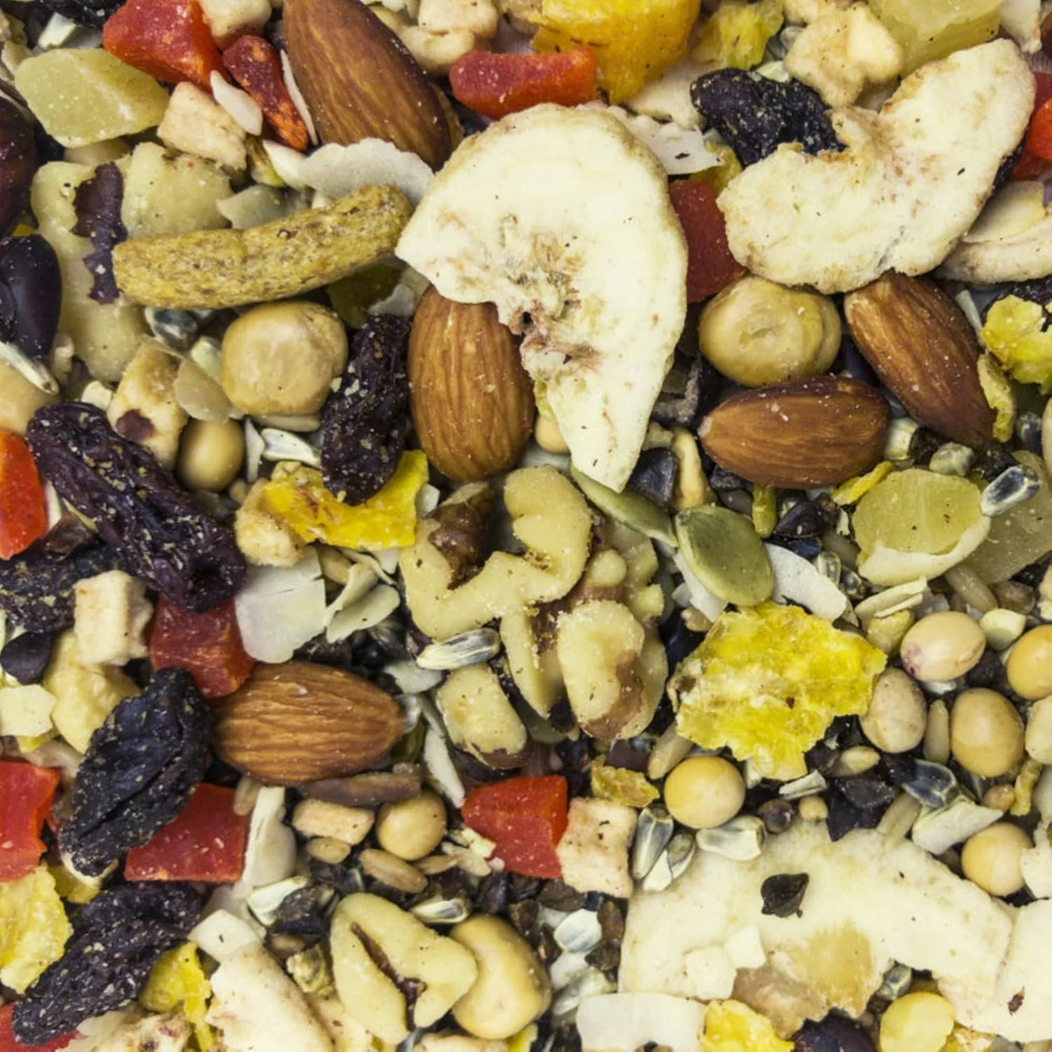 Higgins Sunburst Treats Fruit to Nuts 20 lb - Image 2