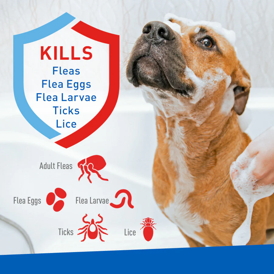 ADAMS Flea & Tick Foaming Shampoo & Wash for Dogs & Puppies 10 fl oz - Image 3