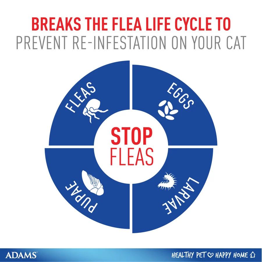 ADAMS Flea & Tick Spot On for Cats  over 5 lbs - Image 5