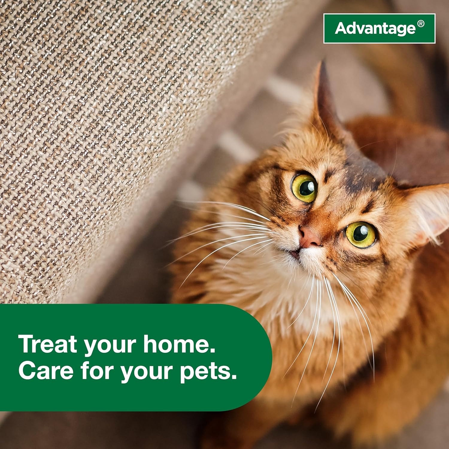 Advantage Carpet & Upholstery Spot Spray | Kills Fleas & Ticks & Bedbugs | 16 oz. - Image 8