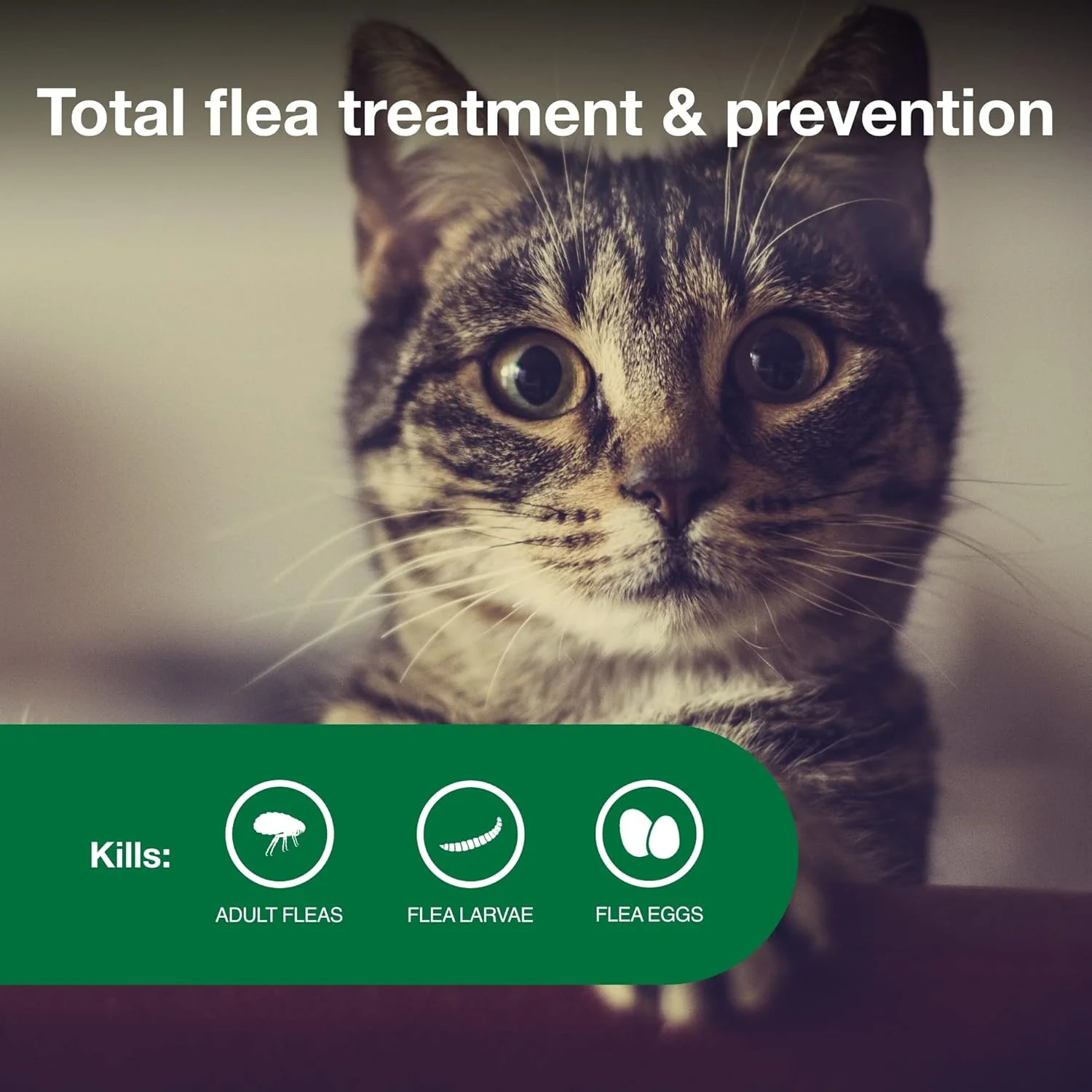 Elanco Advantage II Cat Vet-Recommended Flea Treatment & Prevention | 1-Month Supply - Image 3