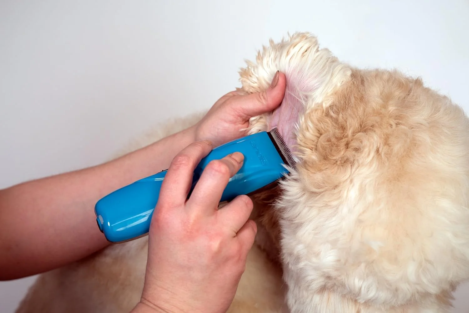 Andis® Cordless Pulse Li5 Clipper - Image 4