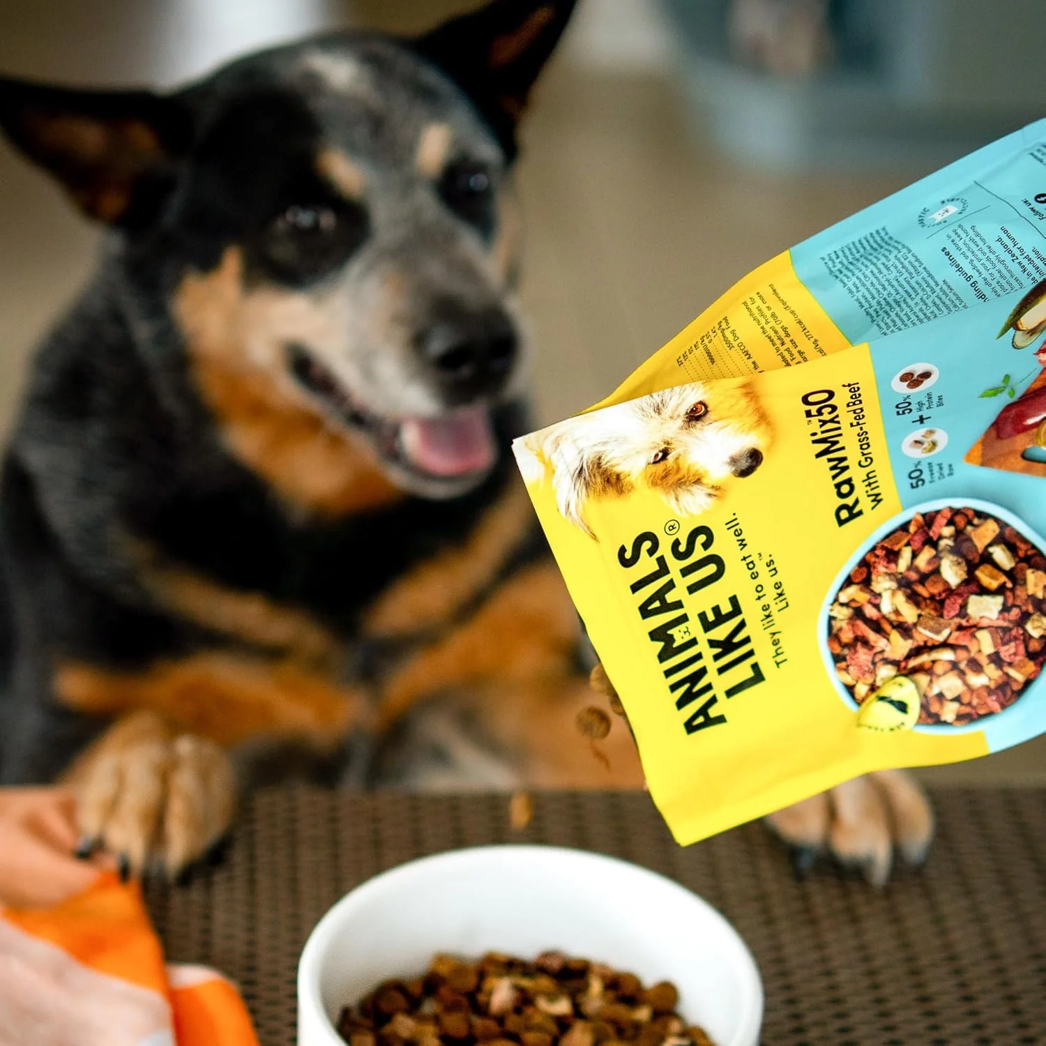 Animals Like Us - RawMix50 Premium Freeze-Dried Raw Grass-Fed Beef Recipe Dog Food, Protein Rich, Includes Kibble, Non-GMO, No Wheat or Corn - Image 8