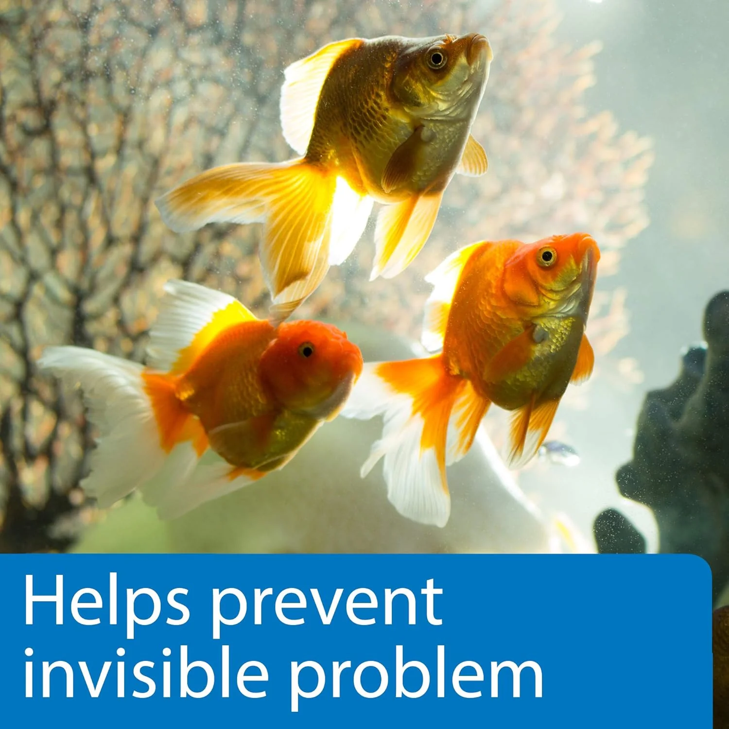 API 5-IN-1 TEST STRIPS Freshwater and Saltwater Aquarium Test Strips - Image 4