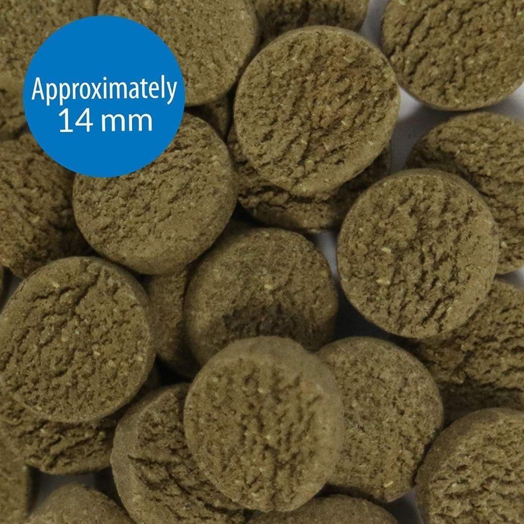 API Algae Eater Pea Protein Natural Pre-Biotic Algae Wafer with spirulina for Algae Eating Fish - Image 6