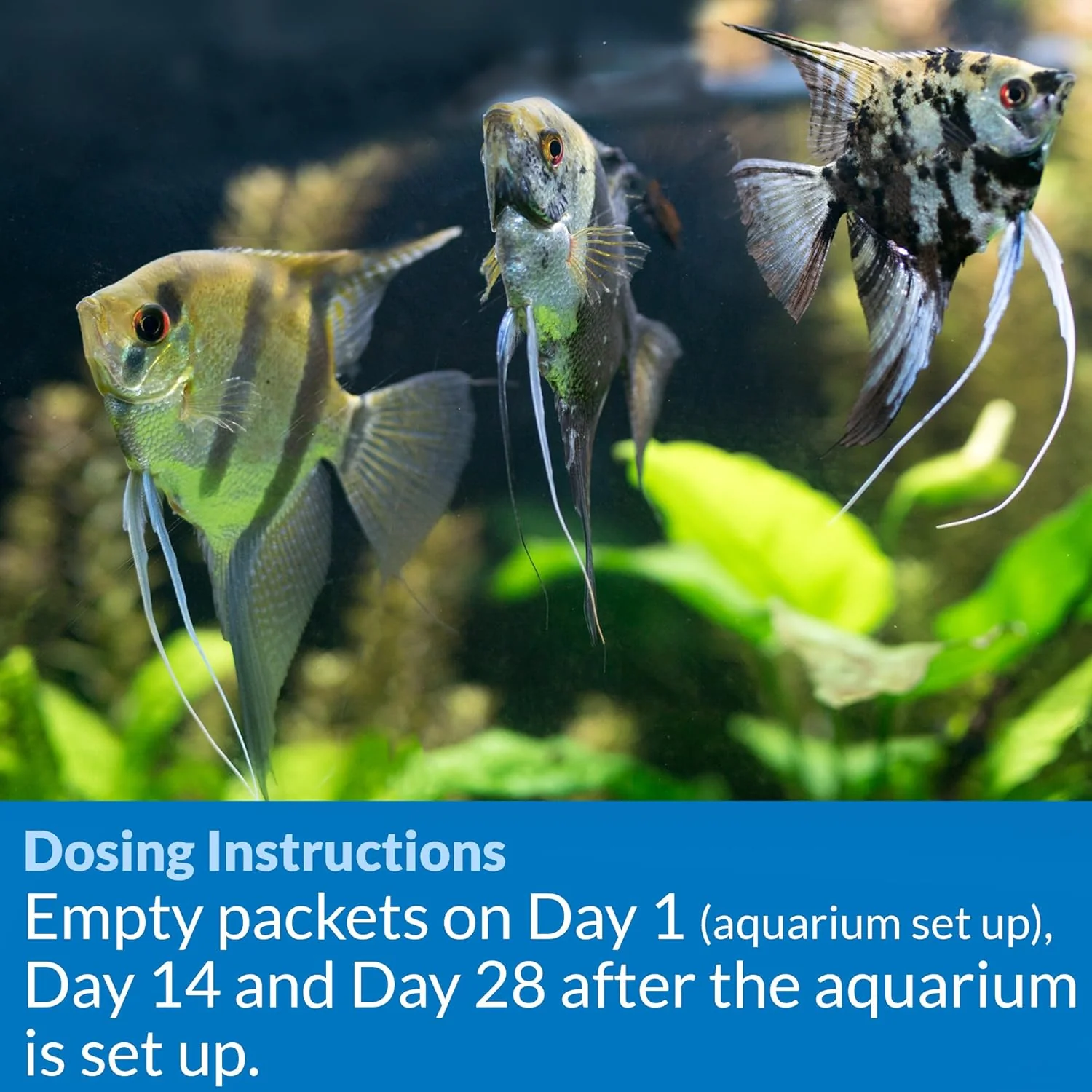 API AQUARIUM START UP PACK Water Conditioner - Image 4