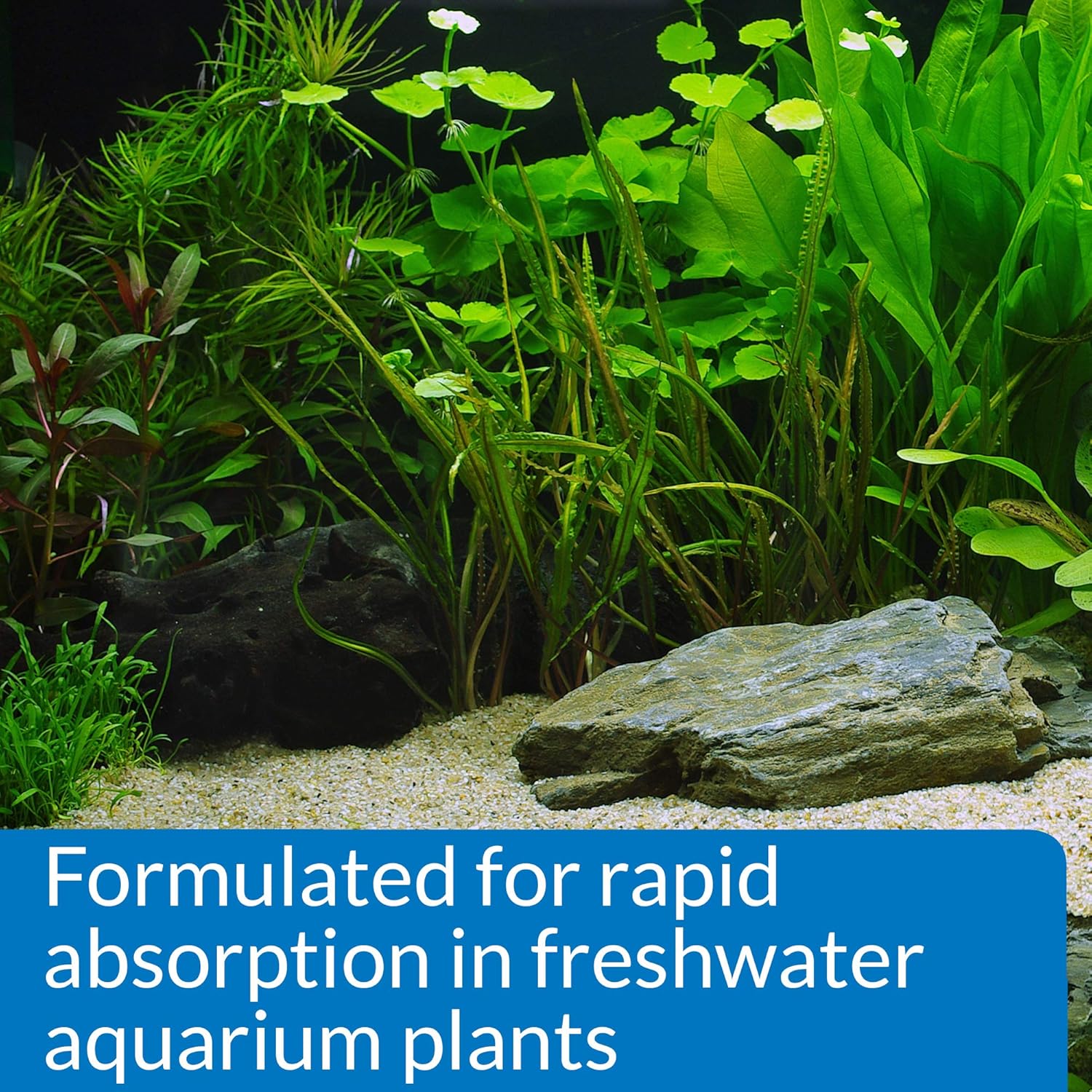 API LEAF ZONE Freshwater Aquarium Plant Fertilizer 8-Ounce Bottle - Image 5