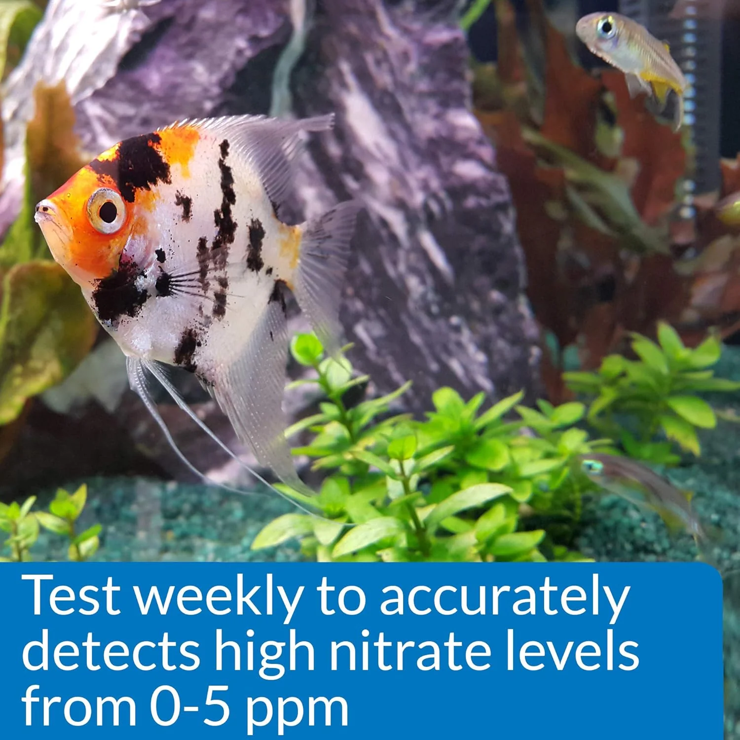 API NITRITE TEST KIT 180-Test Freshwater and Saltwater Aquarium Test Kit - Image 5