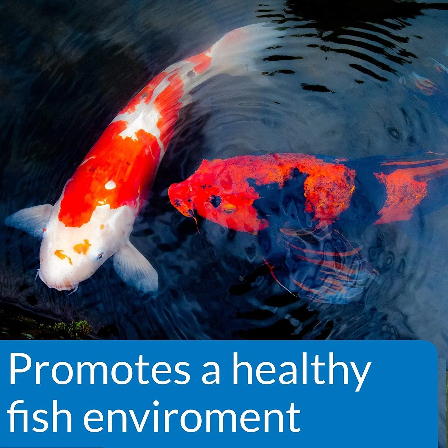 API Pondcare Ecofix Bacterial Pond Cleaner - Image 3