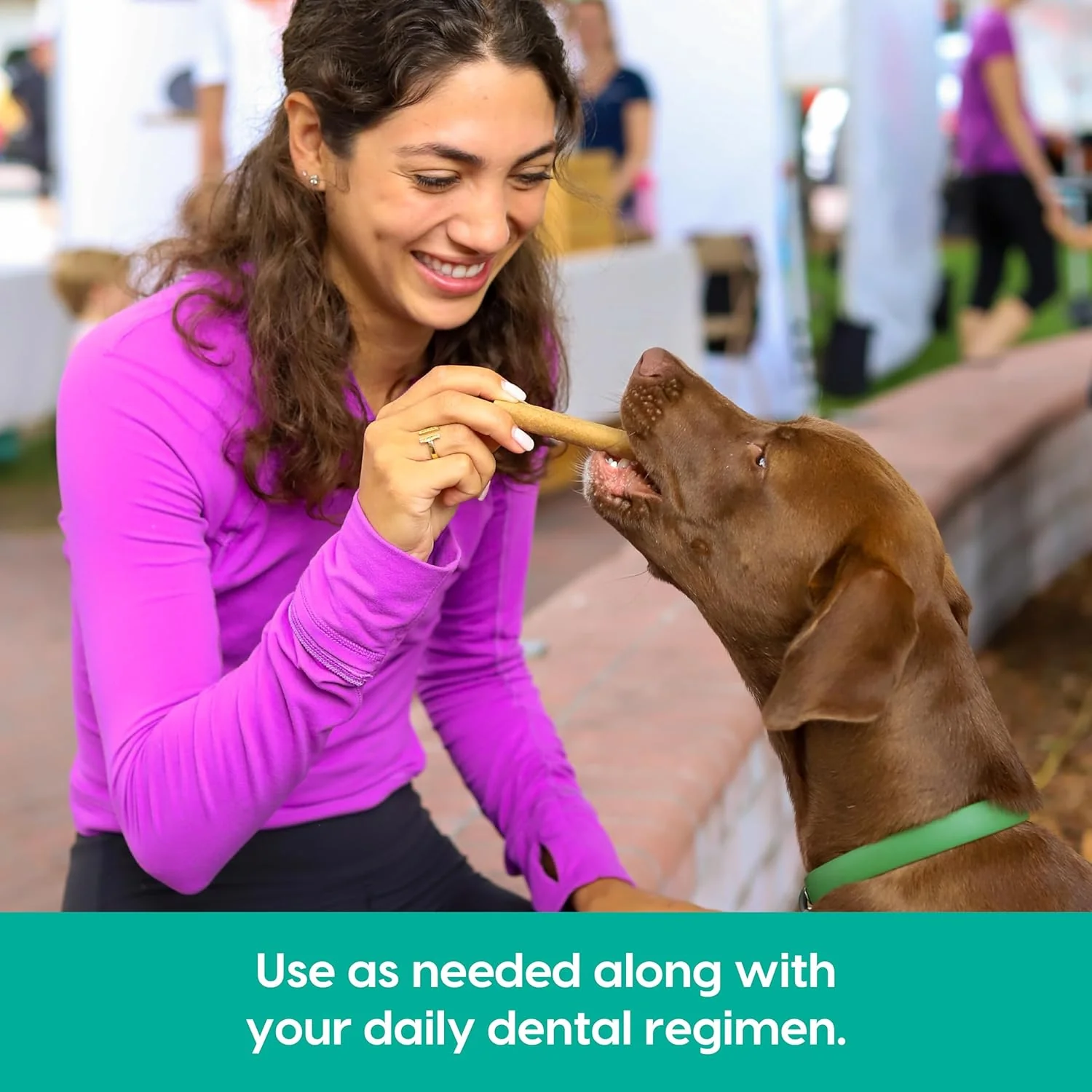 ARK NATURALS Breath Bursts Brushless Toothpaste, Dog Dental Sticks for Large Breeds, Unique Texture Helps Clean Teeth & Freshen Breath, Peppermint - Image 7