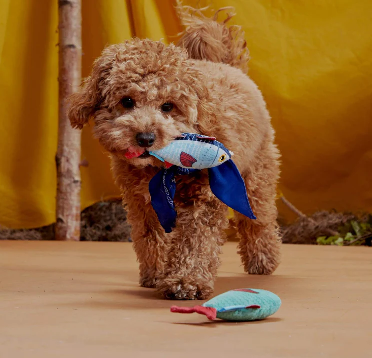 Bark Twins Trout Fish Plush Dog Toy Extra Small / Small - Image 4