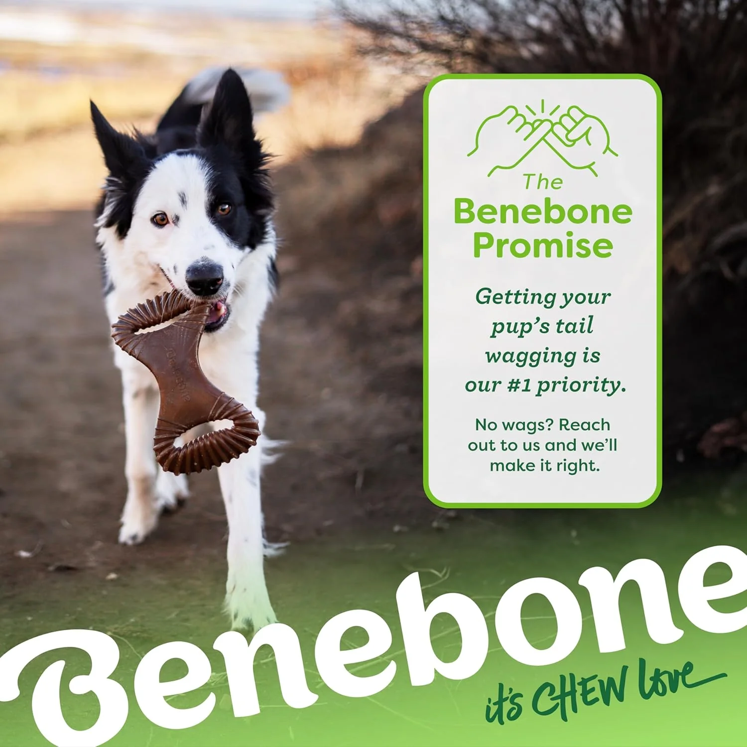Benebone Dental Durable Dog Chew Toy for Aggressive Chewers, Real Chicken, Made in USA - Image 4