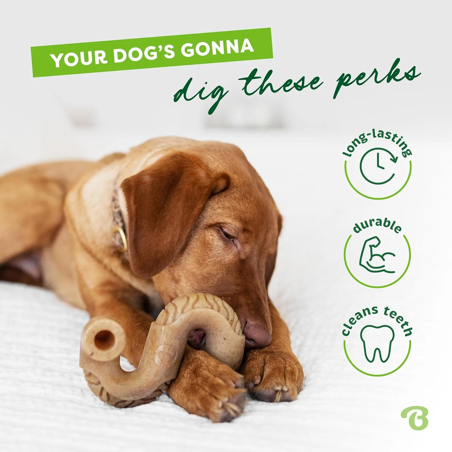 Benebone Tripe Bone Durable Dog Chew Toy for Aggressive Chewers, Real Tripe, Made in USA - Image 3