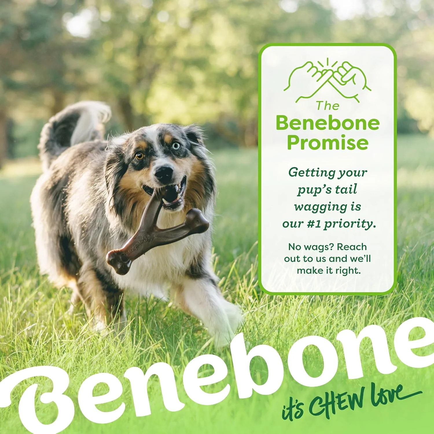 Benebone Wishbone Durable Dog Chew Toy for Aggressive Chewers, Real Peanut, Made in USA, for Any breed - Image 6