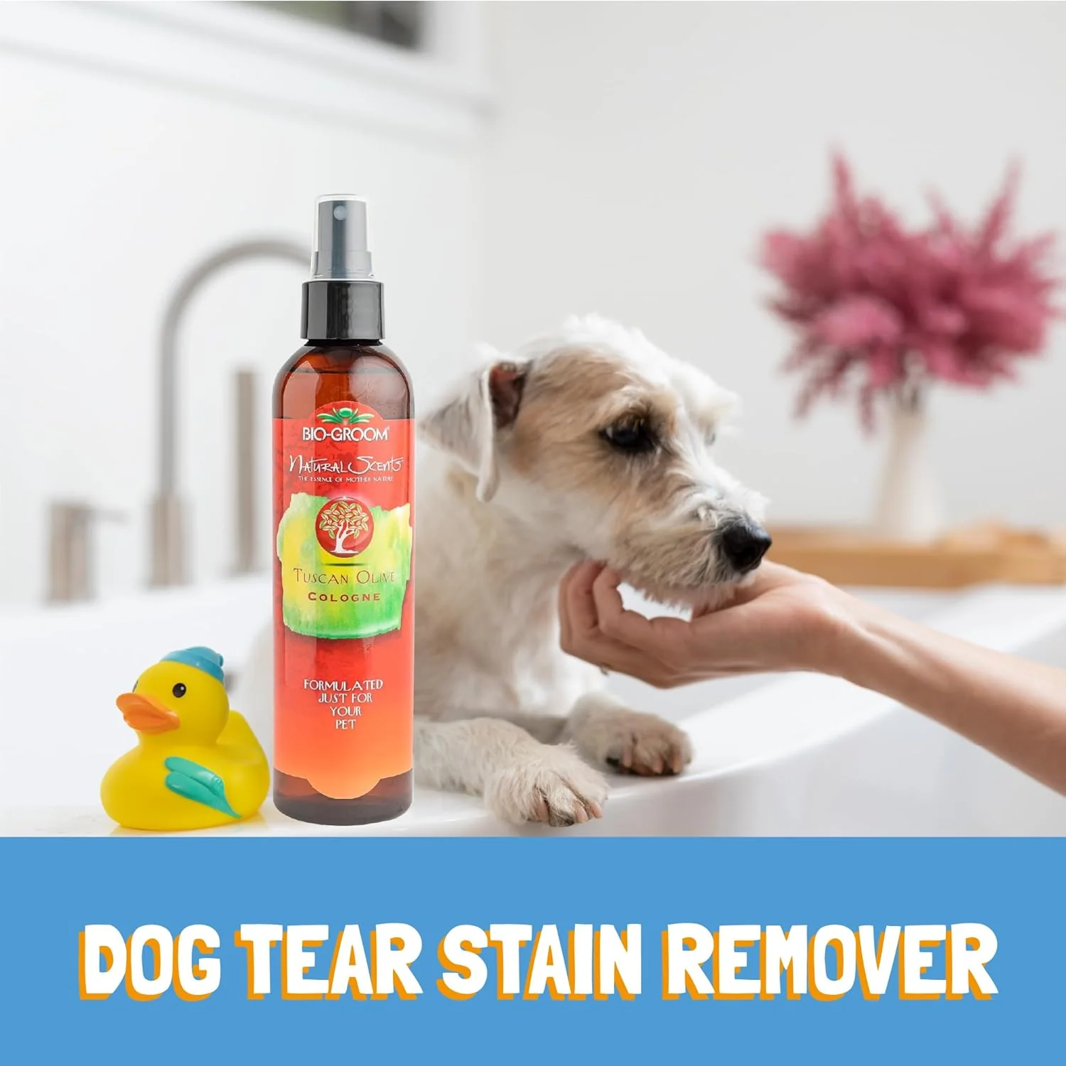 Bio-Groom Tuscan Olive Dog Shampoo - Natural Scent Pet Shampoo, Baobab Protein, Cat & Dog Bathing Supplies, Puppy Wash, Cruelty-Free, Made in USA, Quick Rinse Cat Shampoo - 8 fl oz 1-Pack - Image 3