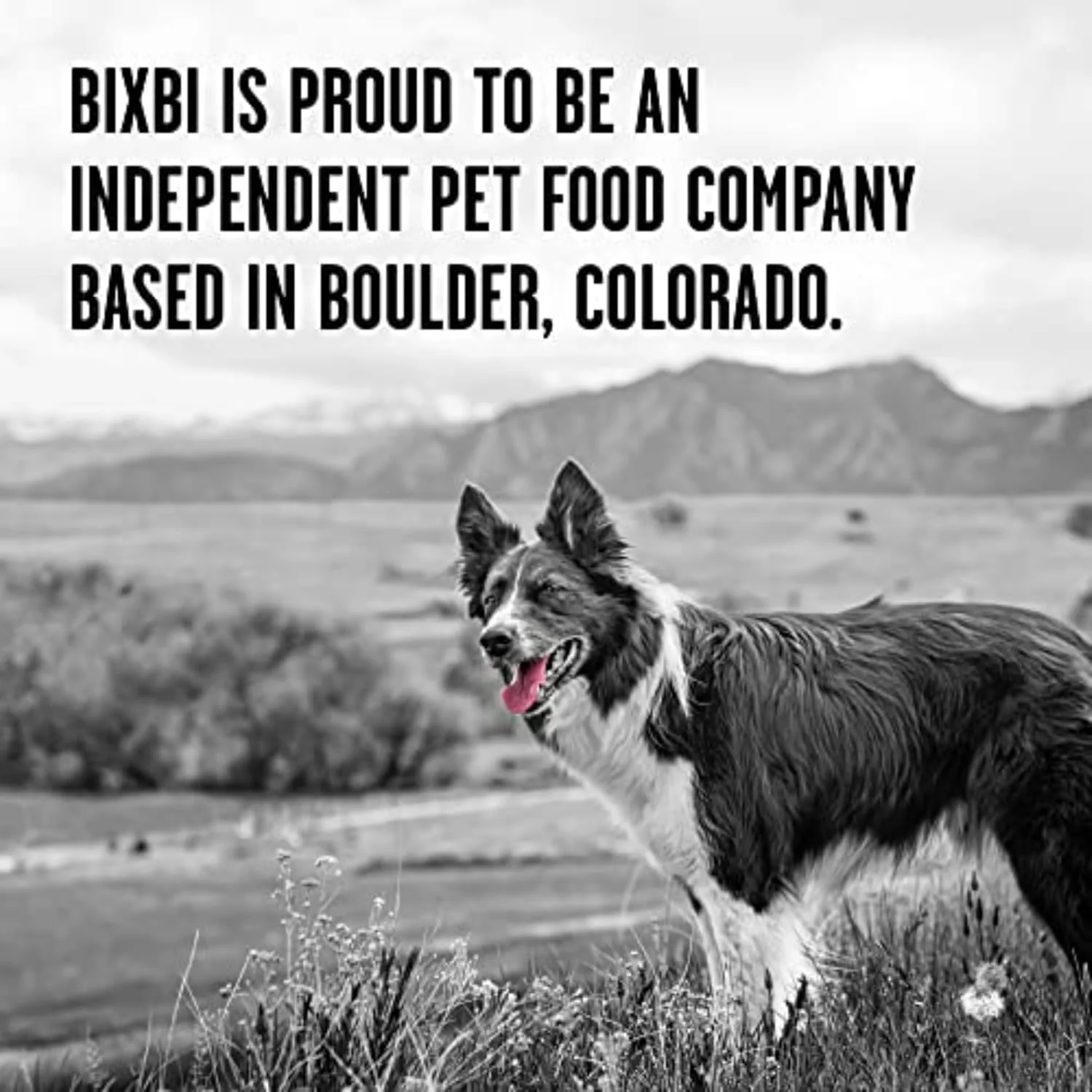BIXBI Rawbble Freeze Dried Dog Food, Turkey Recipe - 96% Meat and Organs, No Fillers - Pantry-Friendly Raw Dog Food for Meal, Treat or Food Topper - USA Made in Small Batches - Image 8