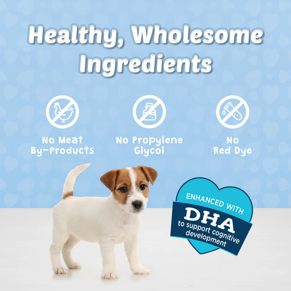 Blue Buffalo Bits Treats for Dogs, Beef - Image 3