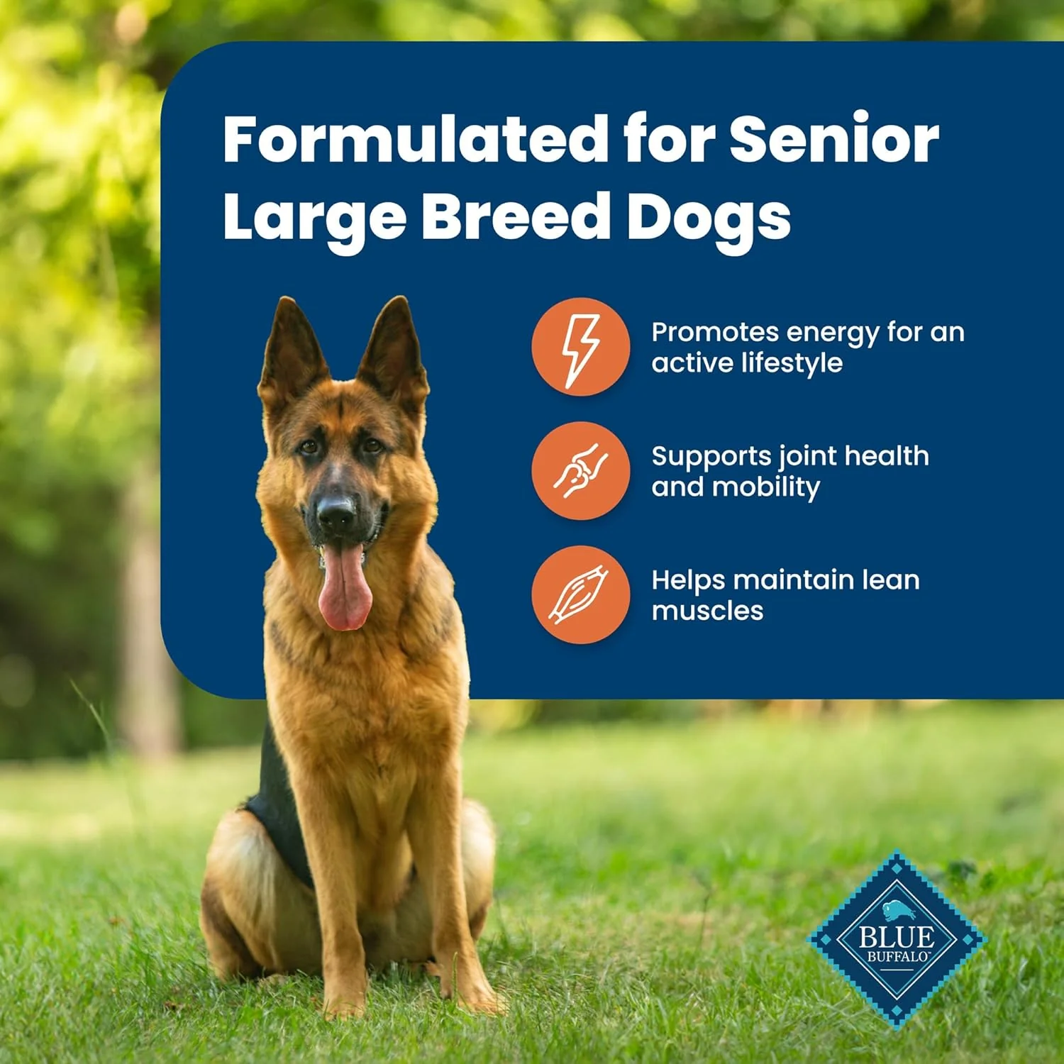 Blue Buffalo Life Protection Formula Large Breed Senior Dry Dog Food, Promotes Joint Health and Immunity, Made with Natural Ingredients, Chicken & Brown Rice Recipe - Image 5