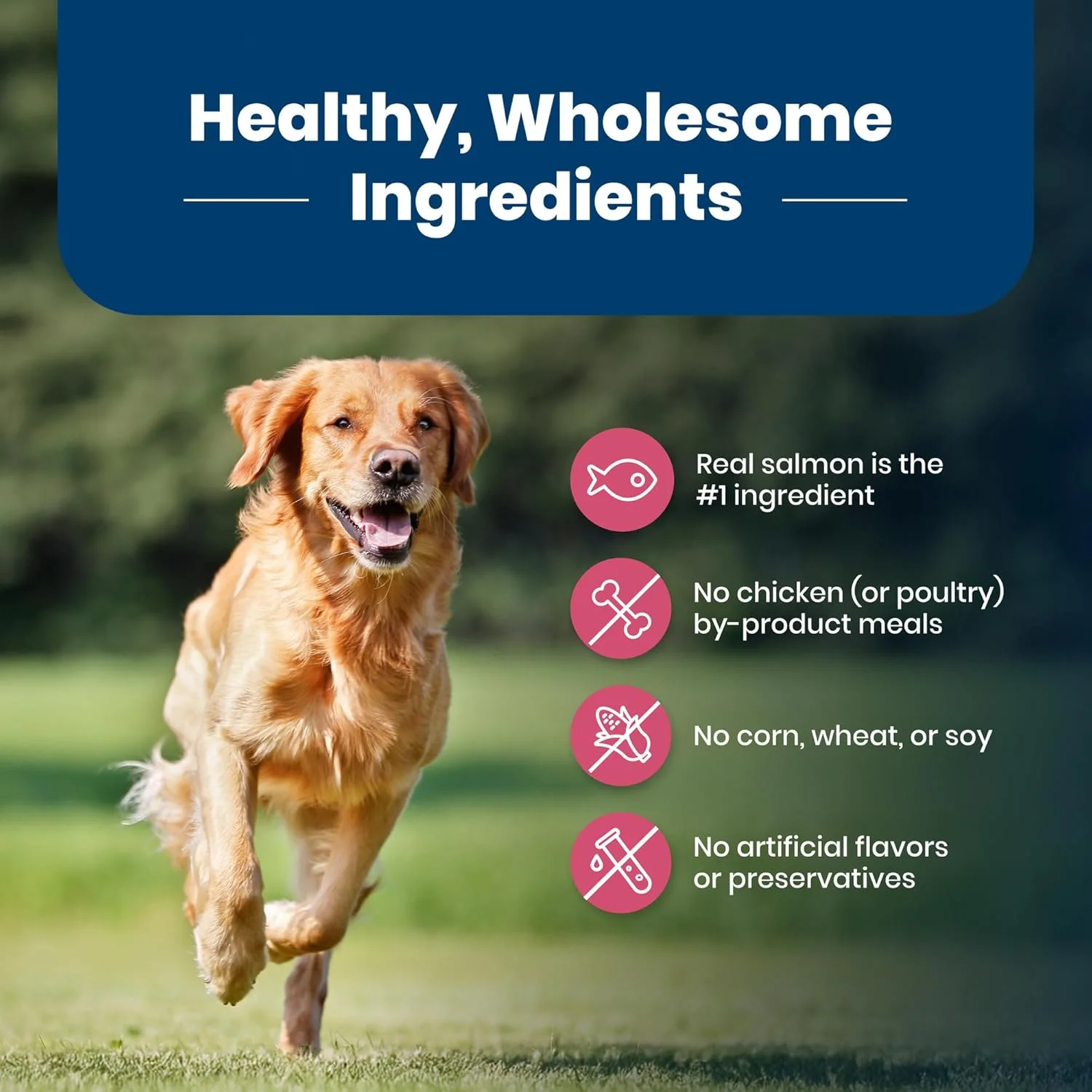 Blue Buffalo Life Protection Formula Adult Dry Dog Food, Helps Build and Maintain Strong Muscles, Made with Natural Ingredients, Salmon & Brown Rice Recipe - Image 6