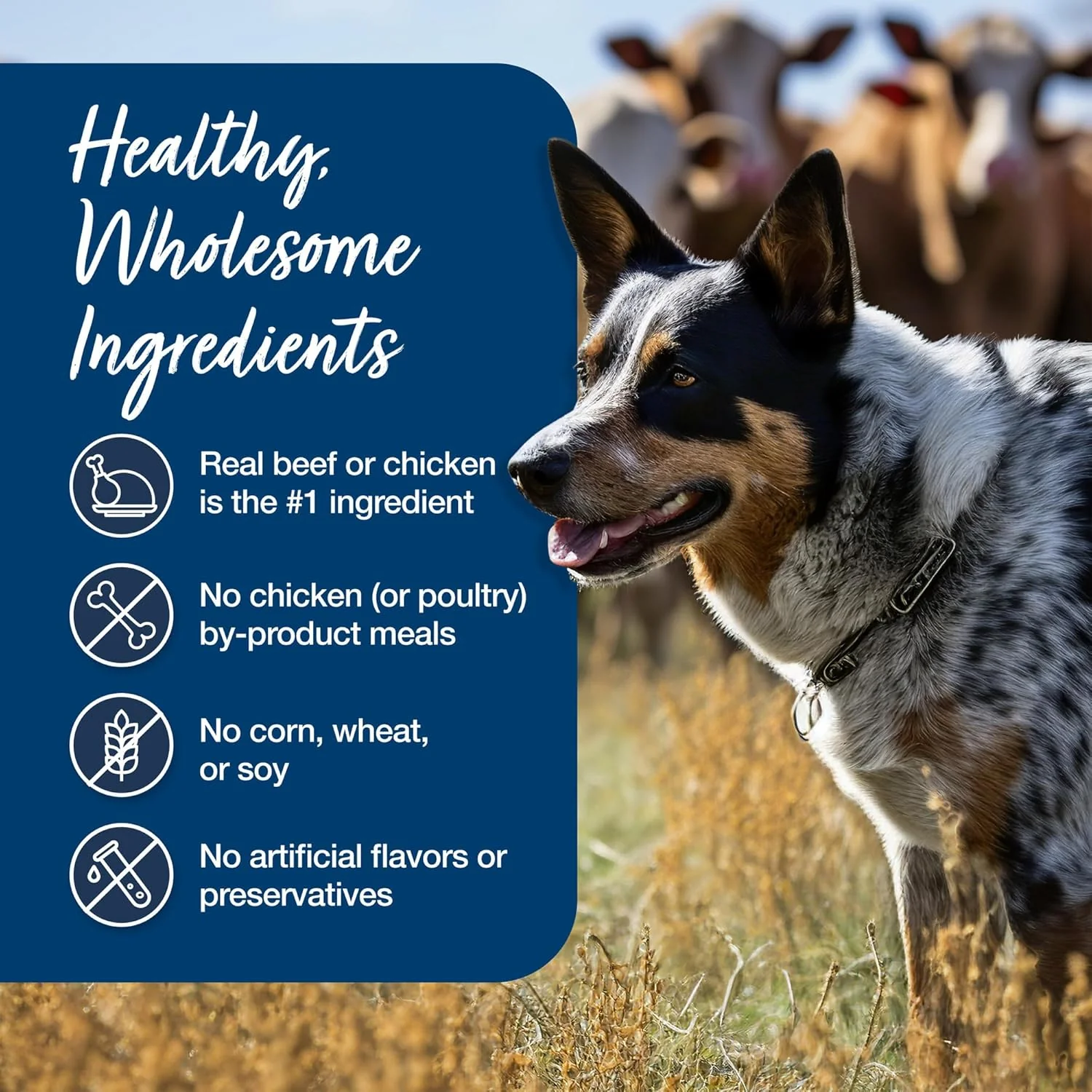 Blue Buffalo Blue's Stew Natural Wet Dog Food, Made with Natural Ingredients, Hearty Beef and Country Chicken Variety Pack - Image 6