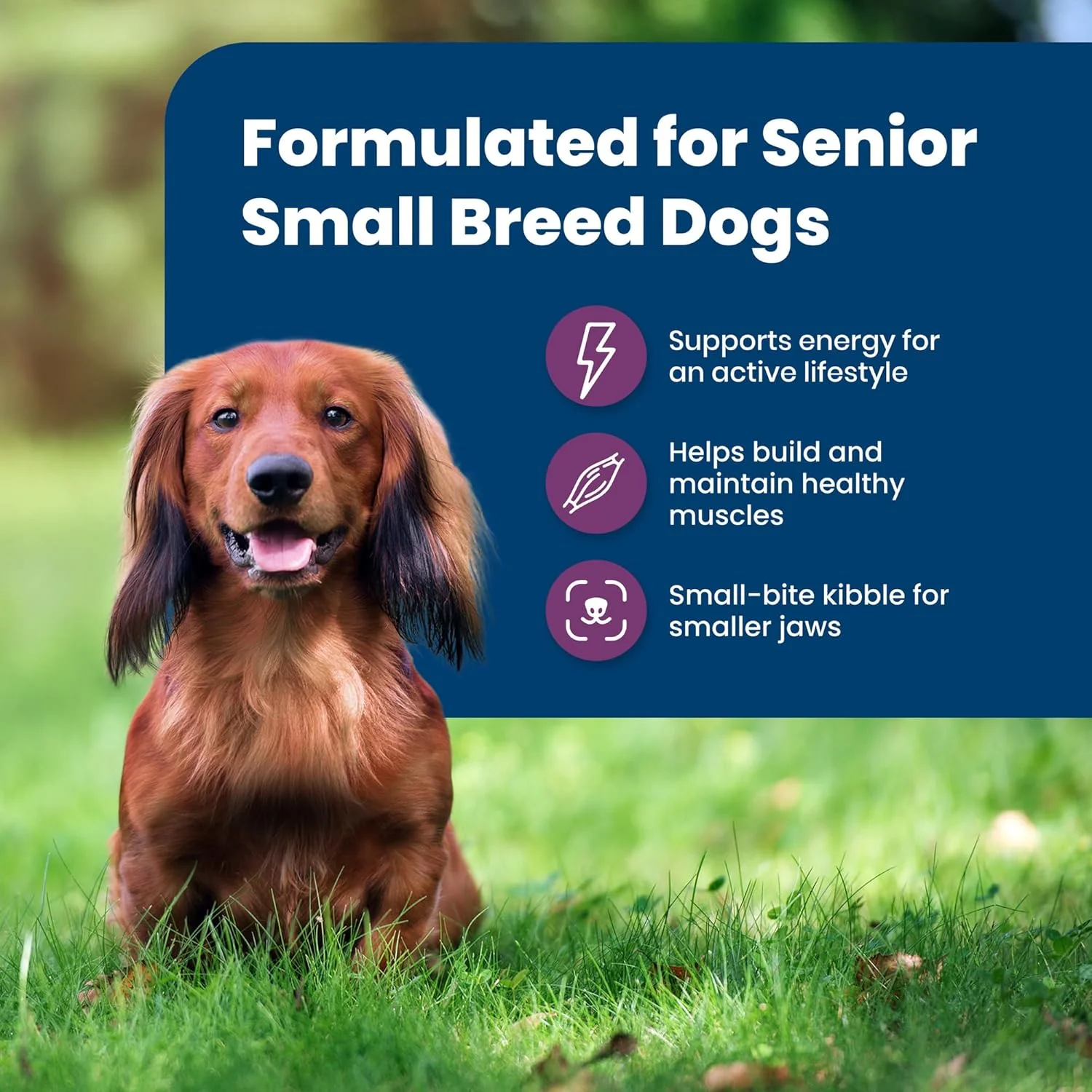 Blue Buffalo Life Protection Formula Small Breed Senior Dry Dog Food, Supports Joint Health and Immunity, Made with Natural Ingredients, Chicken & Brown Rice Recipe - Image 4